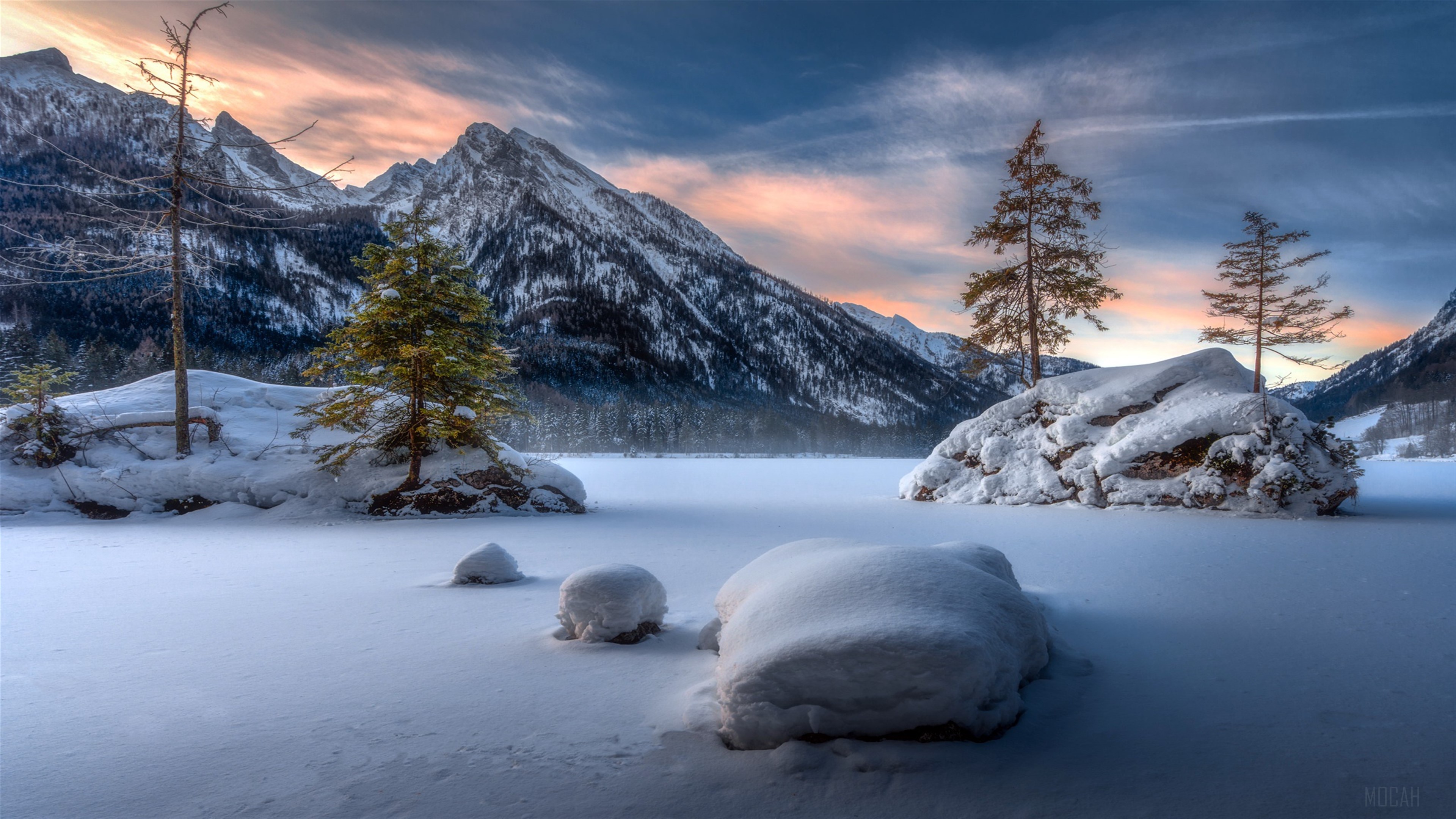 Winter Mountain Landscape with Snow and Trees 4K HD Wallpaper