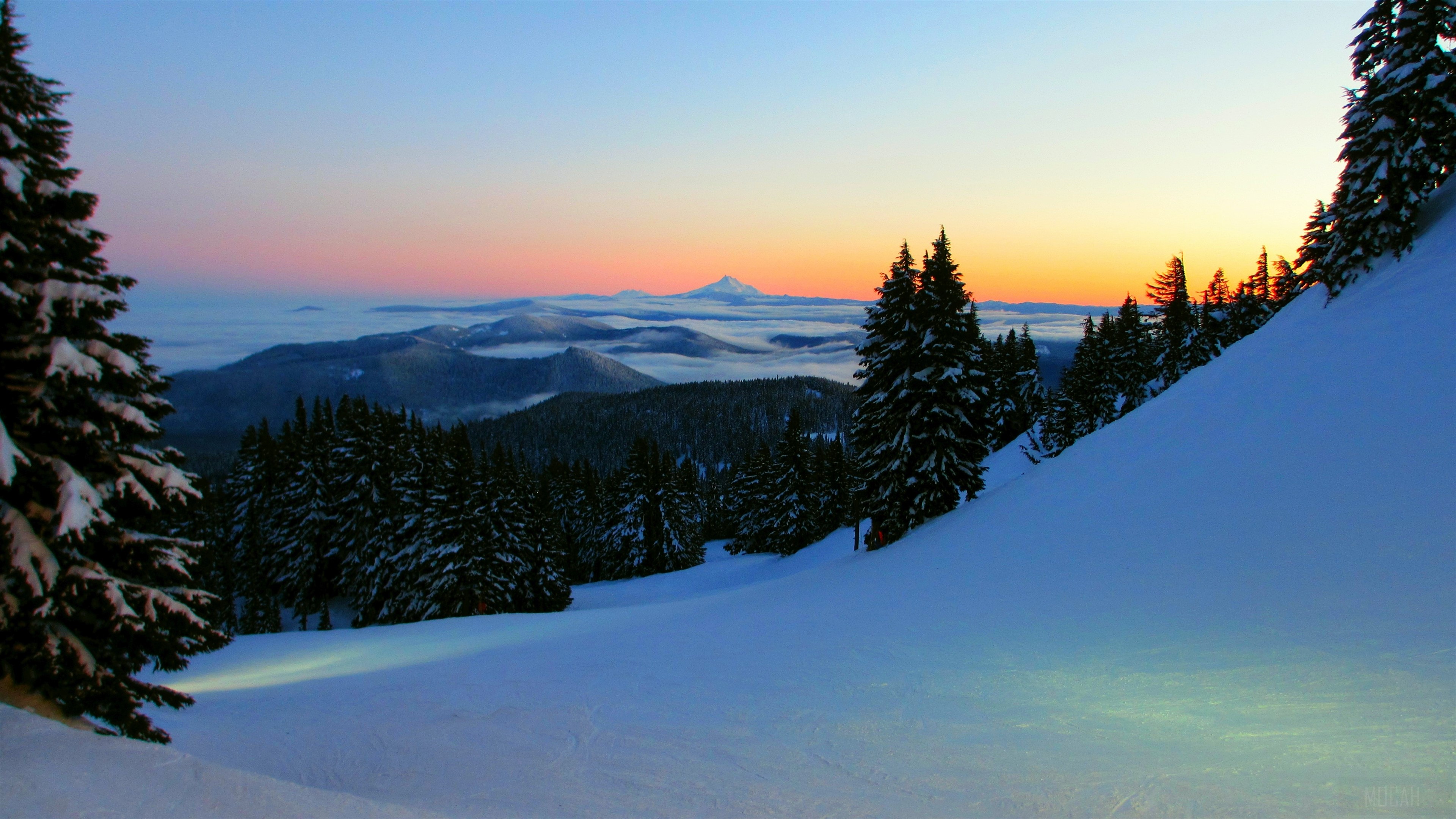Snowy mountain landscape at sunrise with fir trees HD Wallpaper