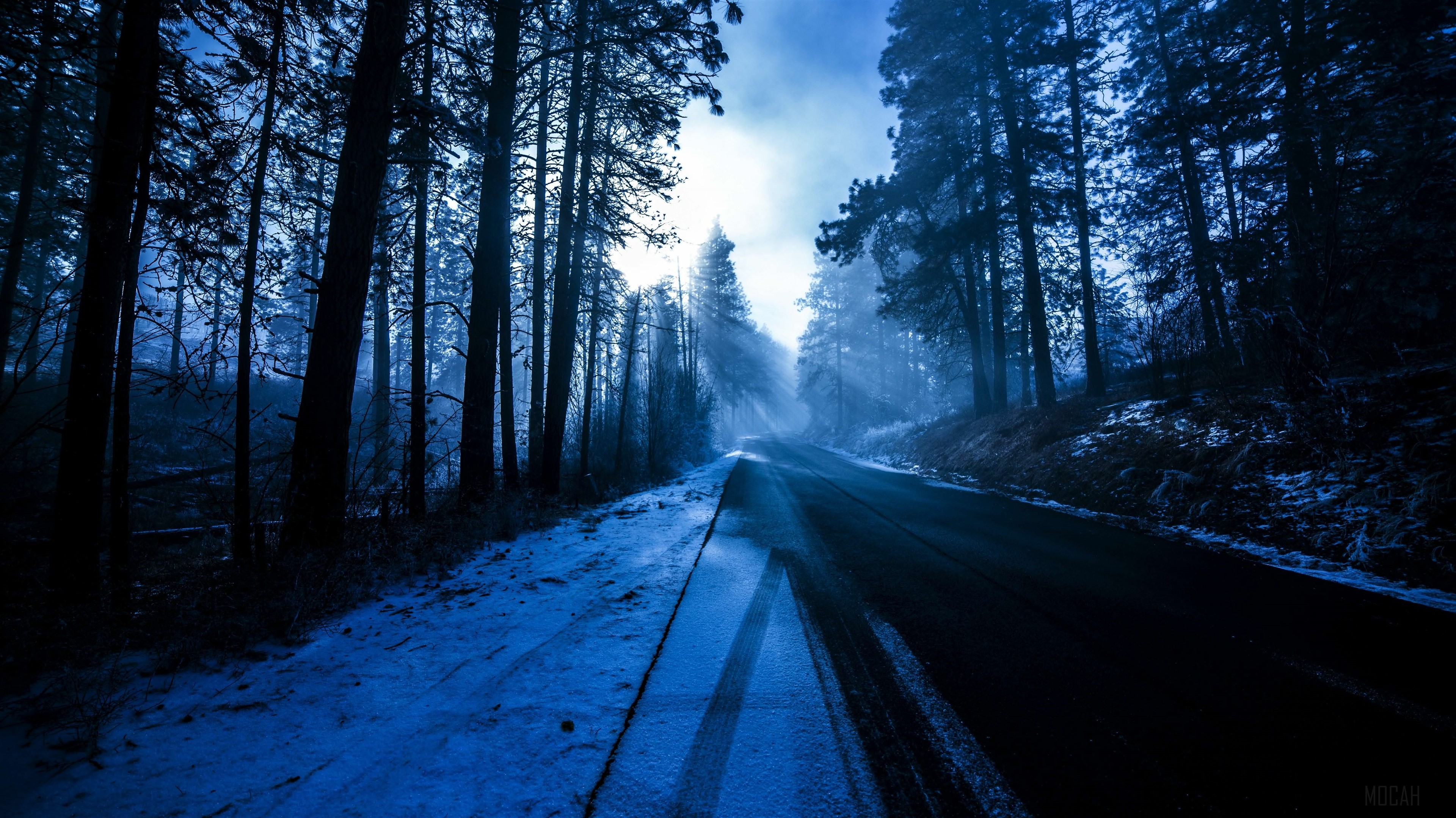 Dark Snowy Forest Road at Evening 4K HD Wallpaper