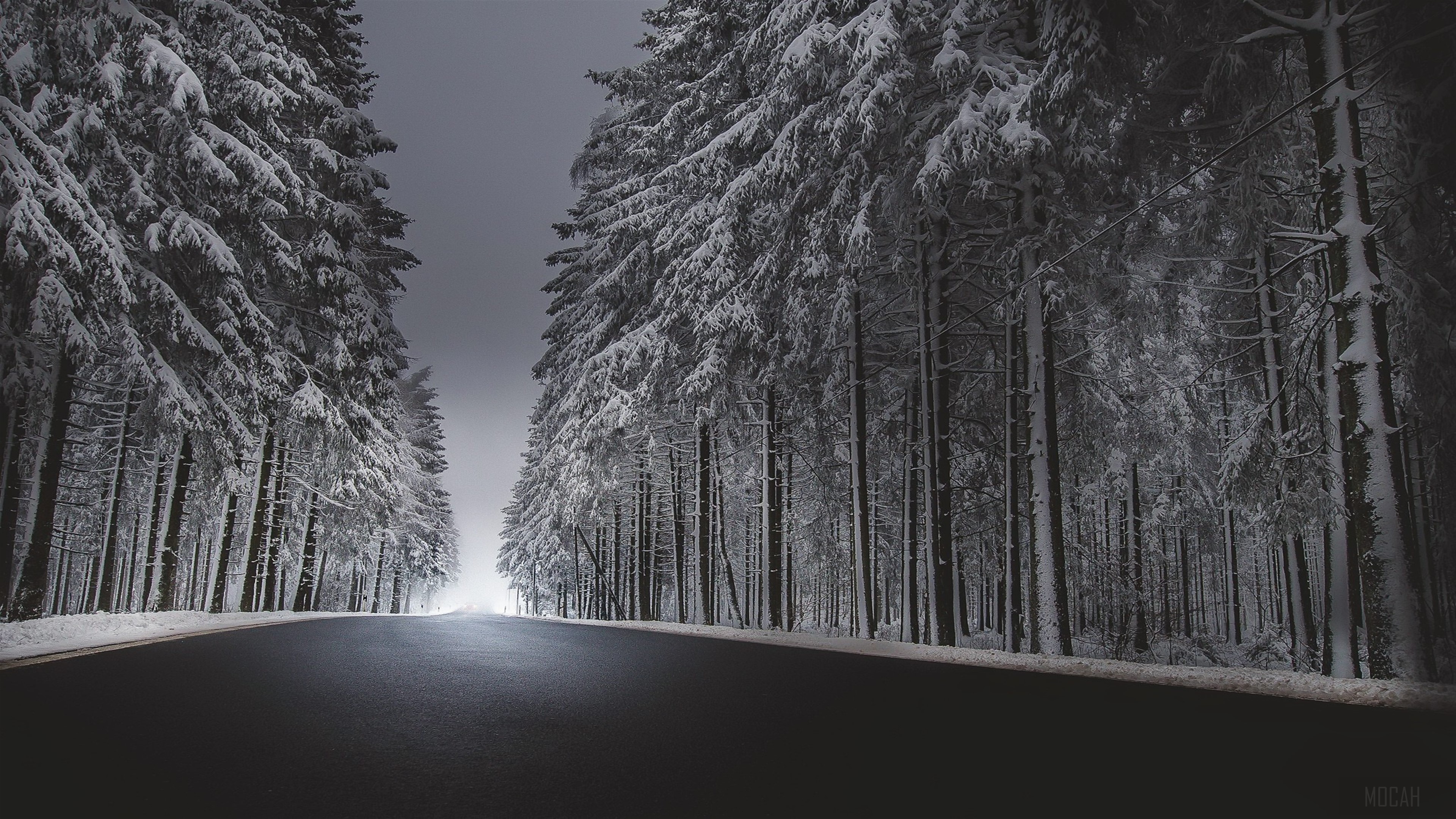 Winter road through snow-covered forest HD Wallpaper