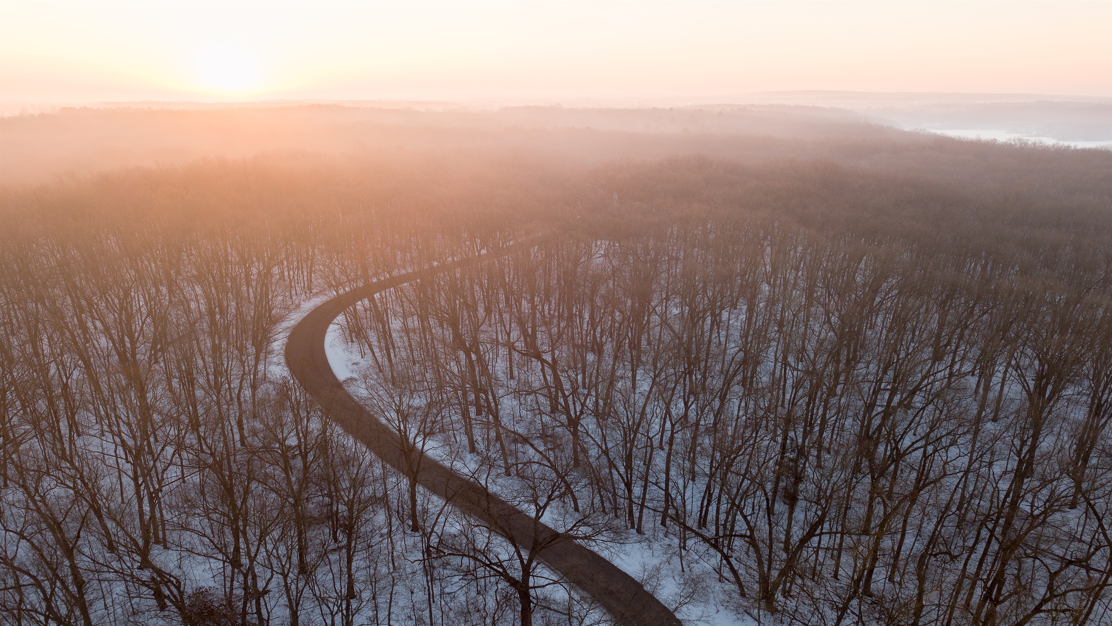 Road through snowy forest at sunrise HD Wallpaper