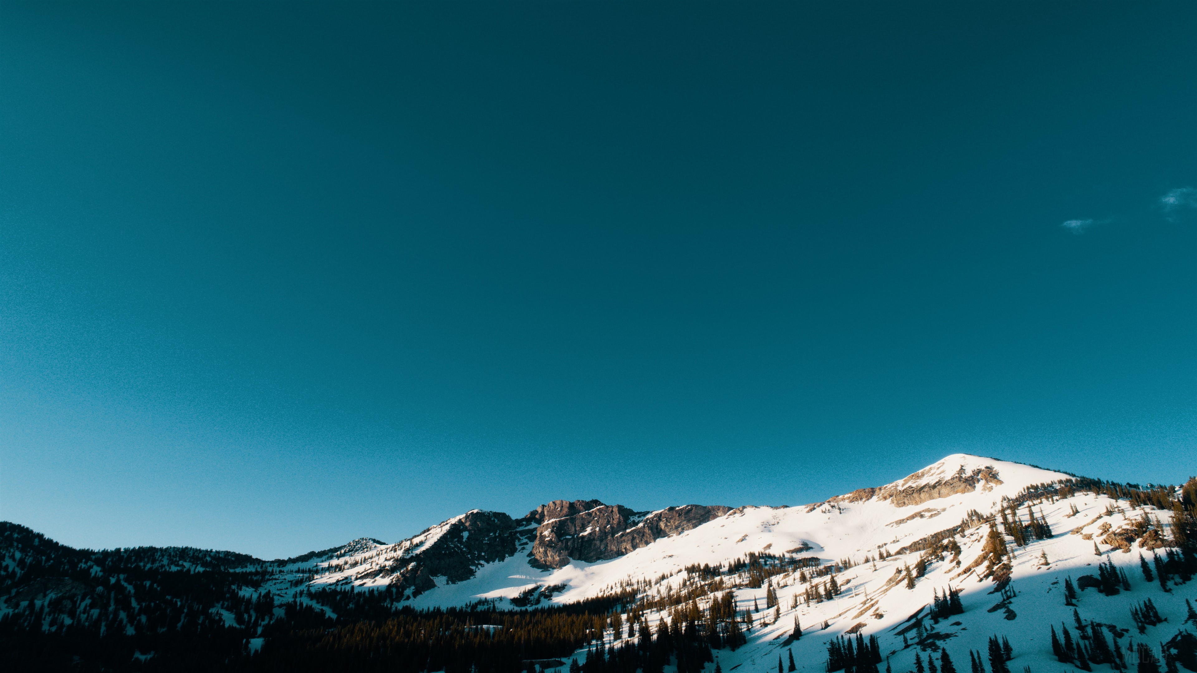 Snow Capped Mountains And Trees HD Wallpaper
