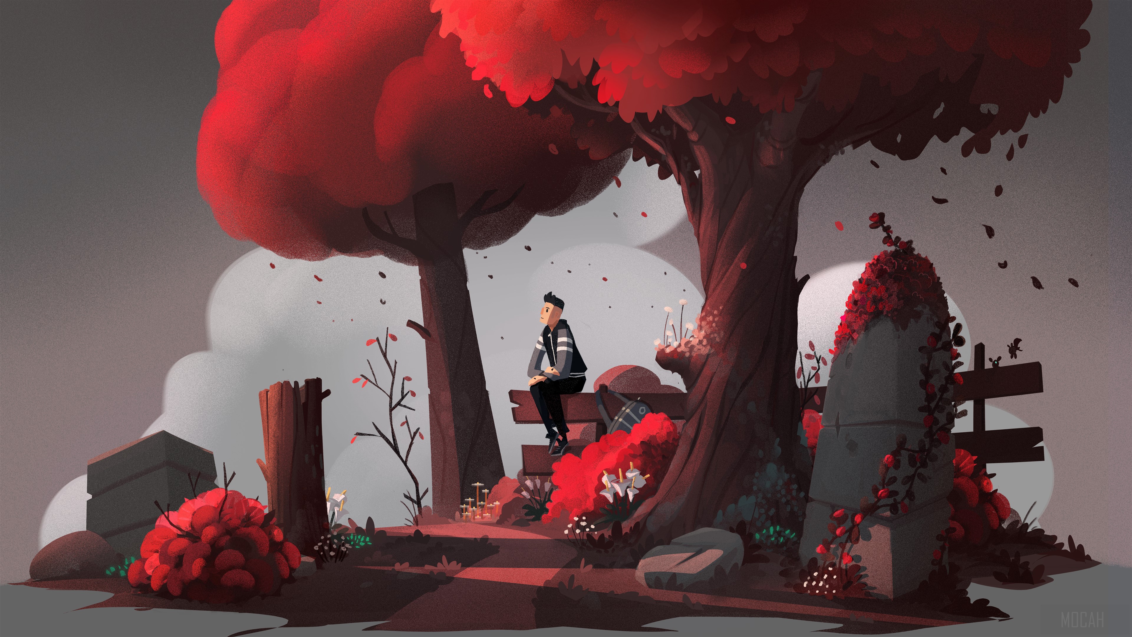 Man sitting on a bench under a red tree HD Wallpaper