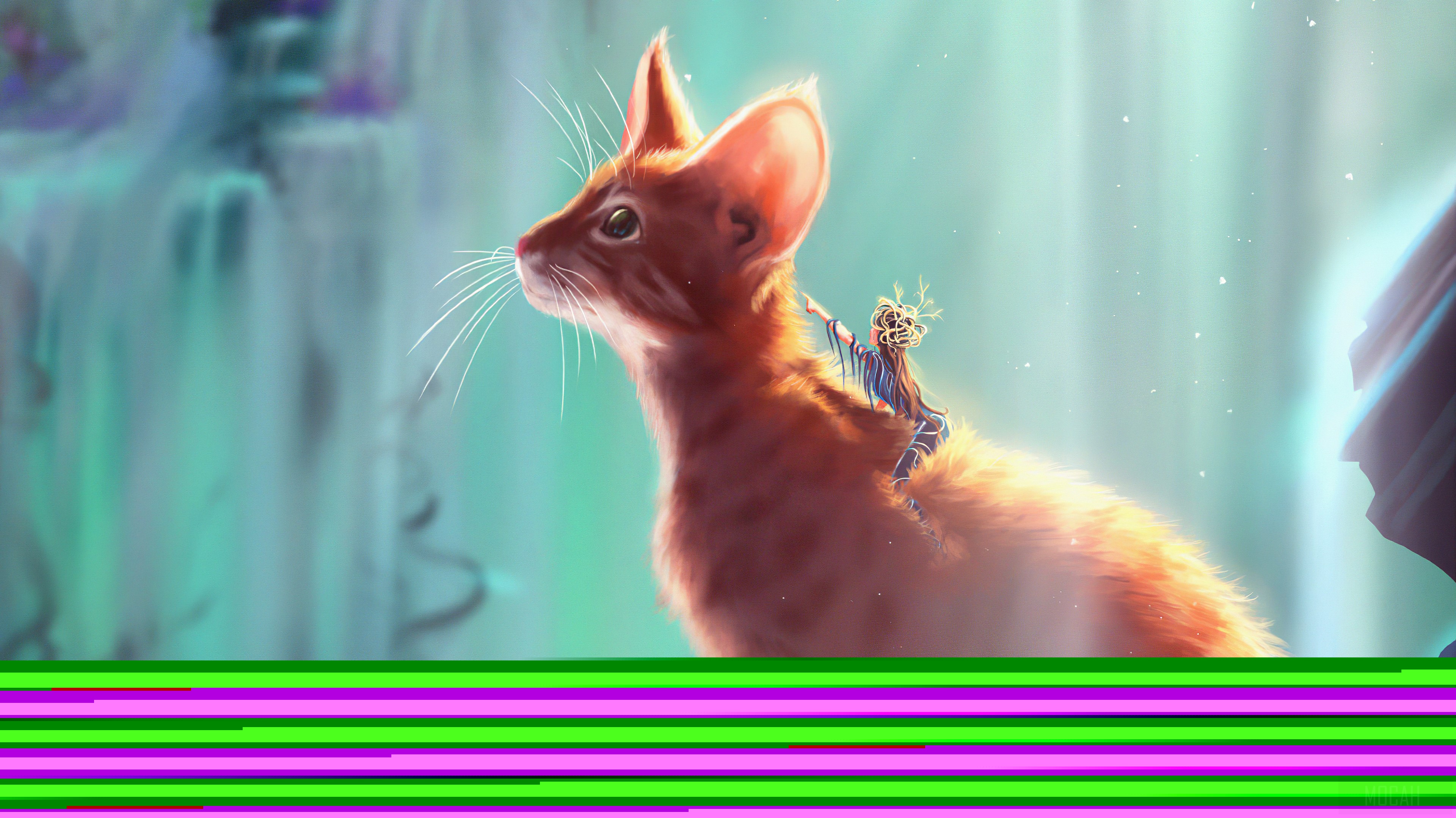 Cat Rider HD Wallpaper
