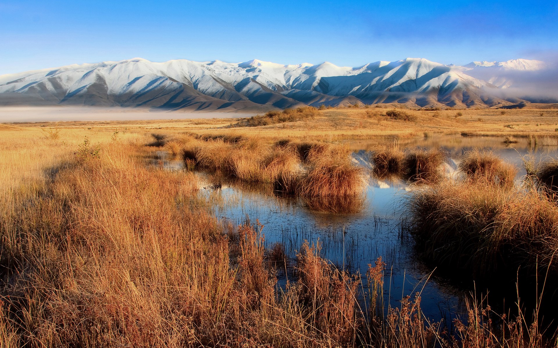 Snow-capped mountains over a marshy landscape HD Wallpaper