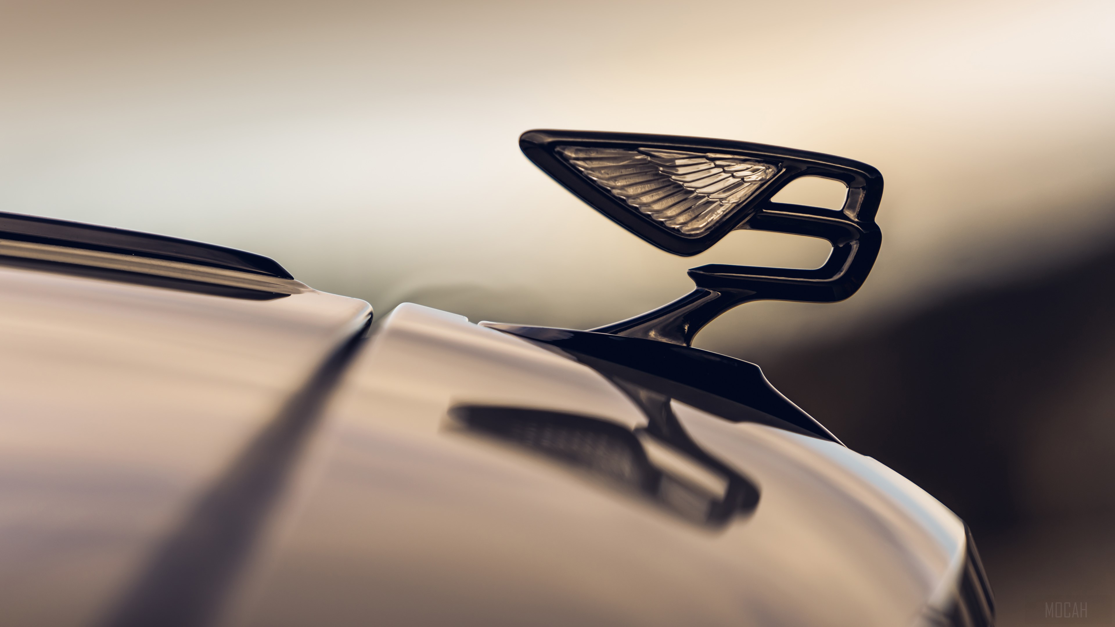 Bentley Flying Spur Blackline hood ornament HD Wallpaper