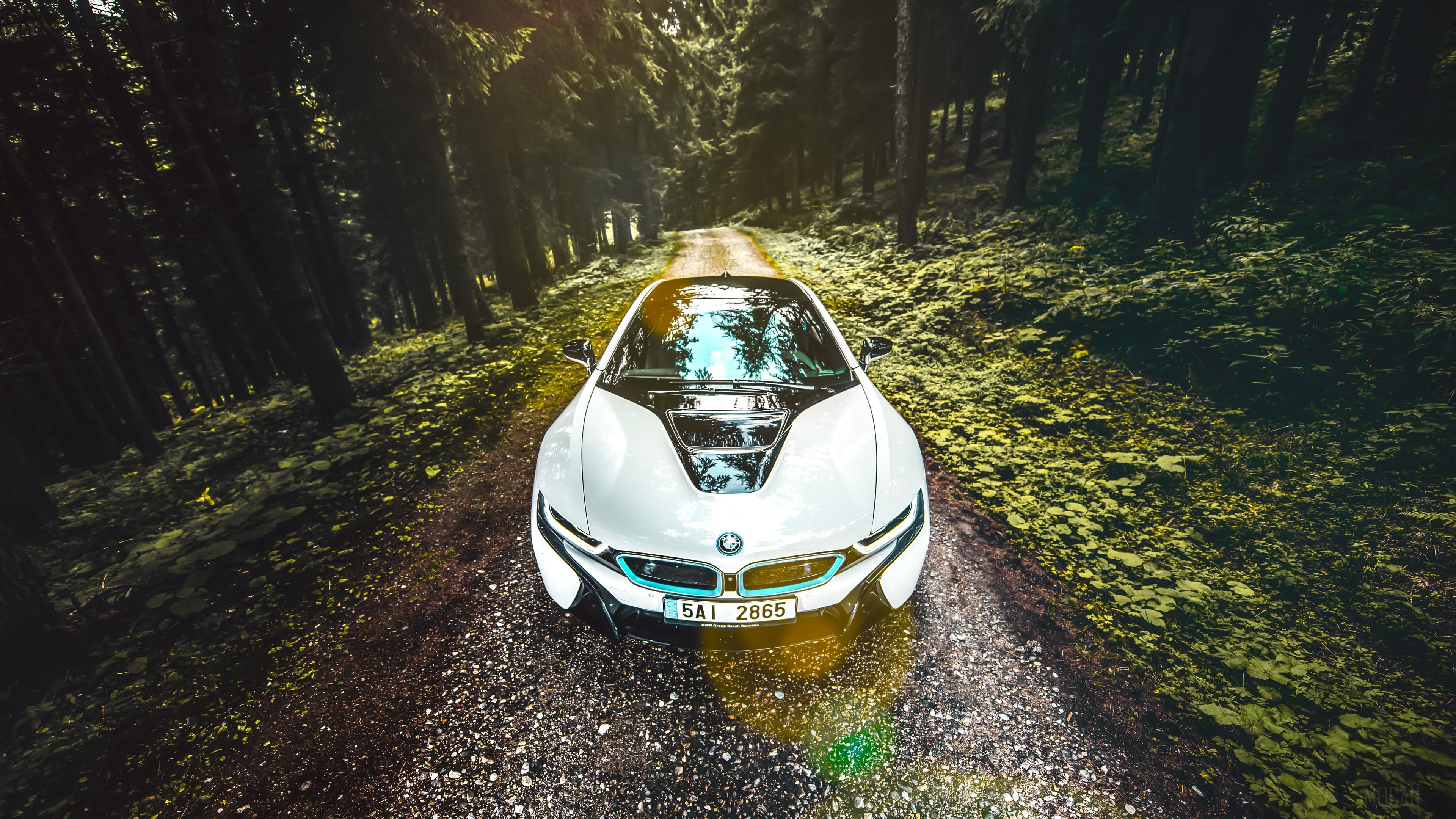 White BMW i8 2020 on a forest road 4K HD Wallpaper