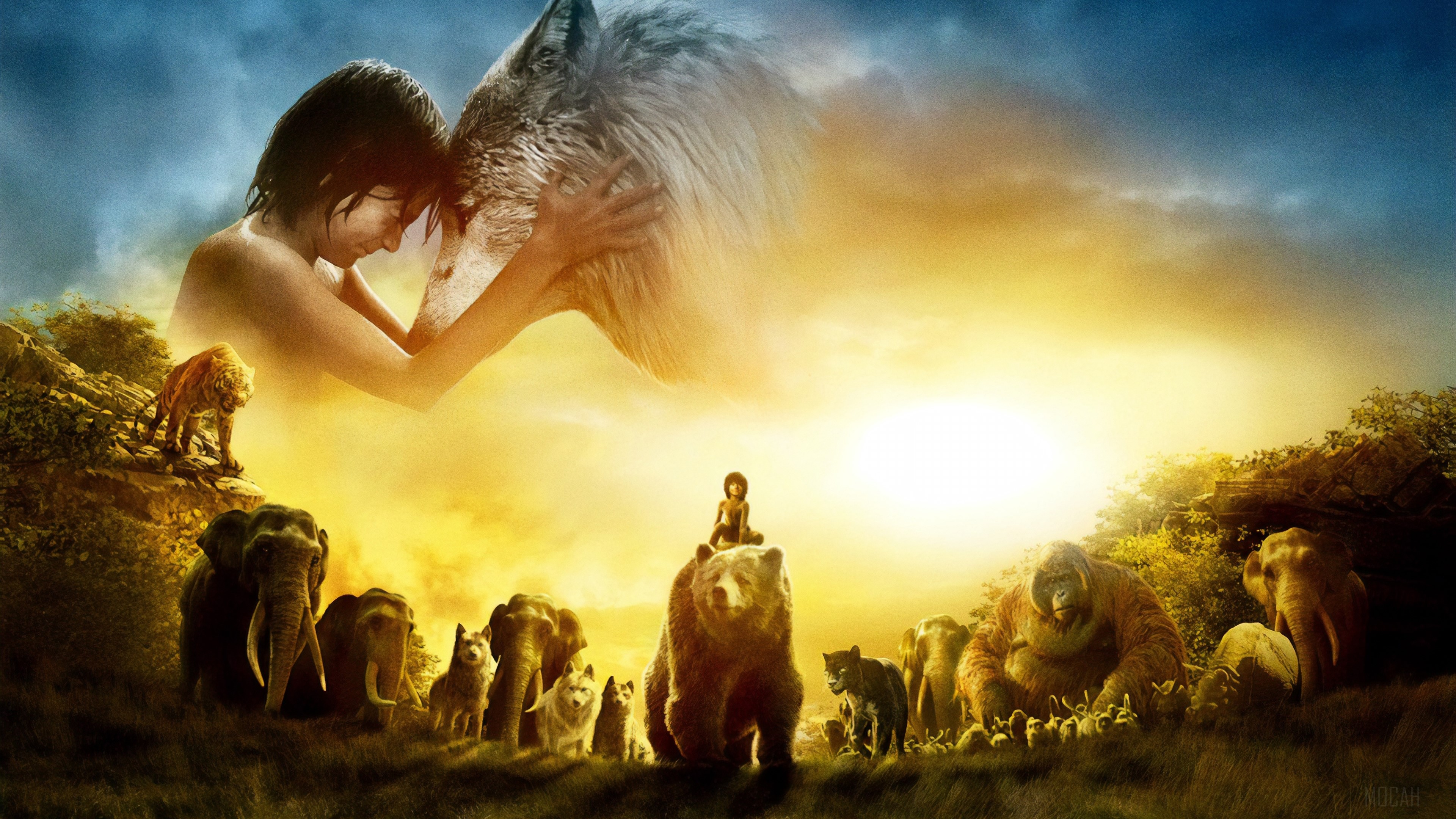 The Jungle Book HD Wallpaper