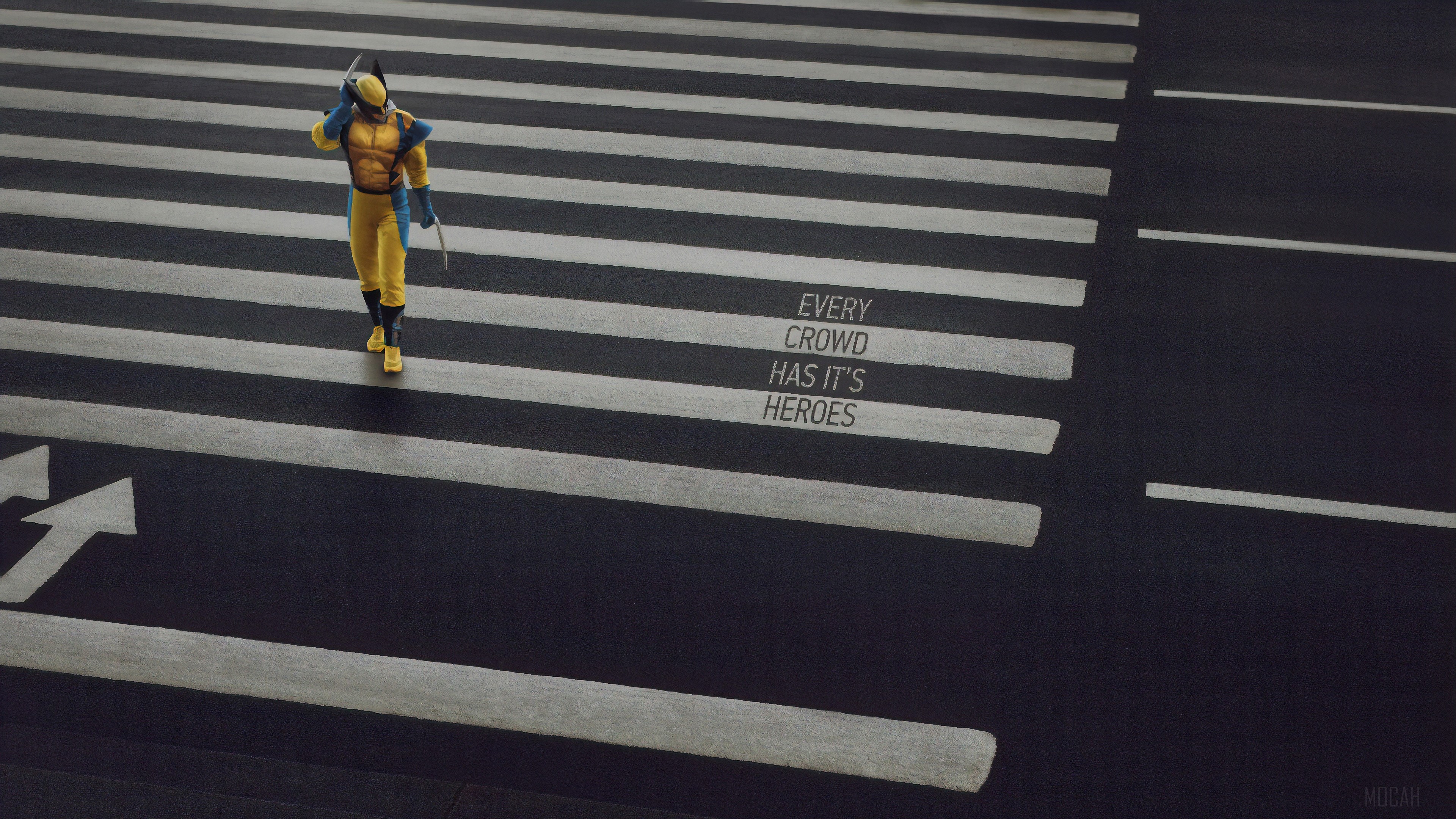 Wolverine on a crosswalk HD Wallpaper