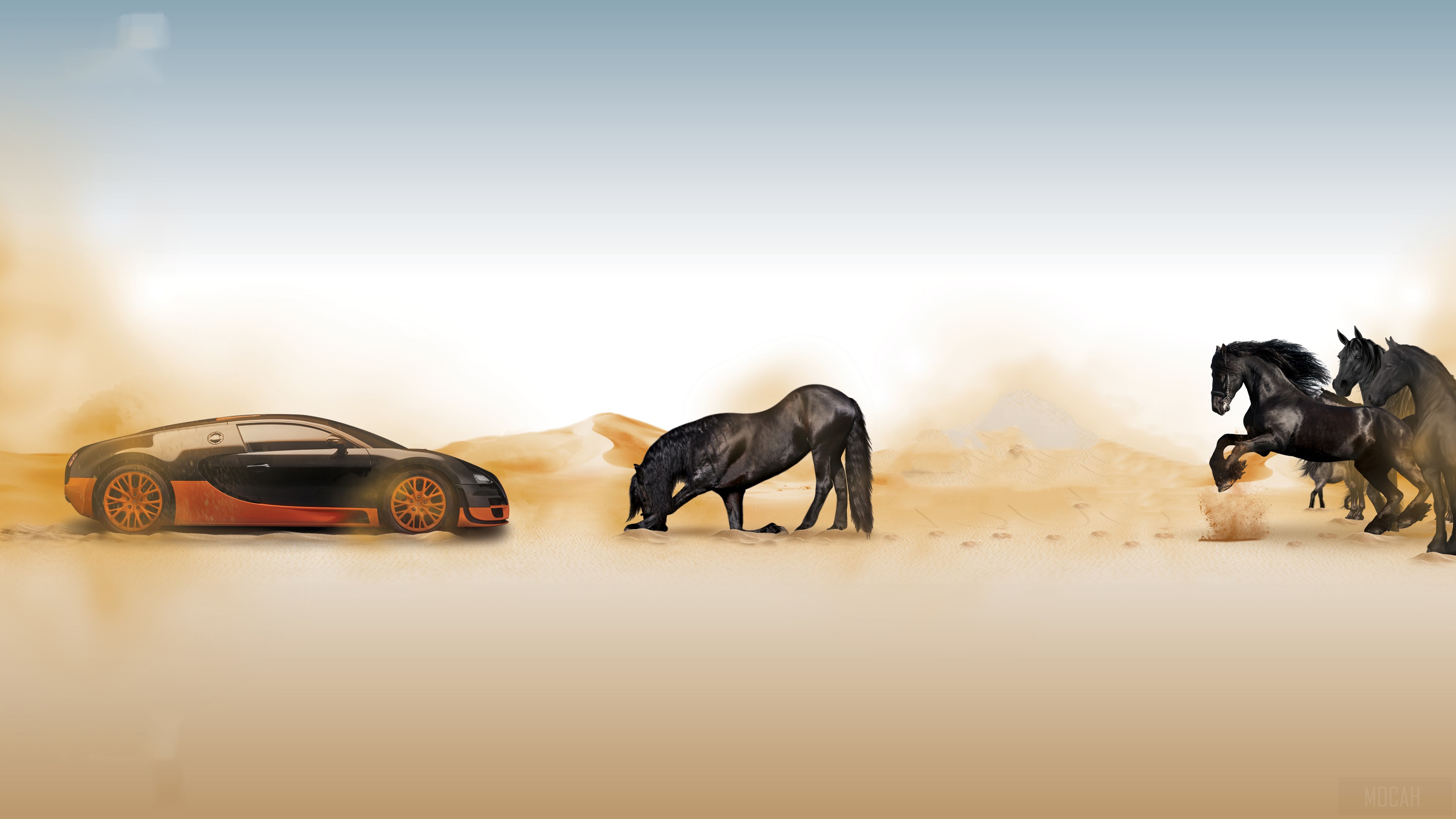 Bugatti and Horses in the Desert 4K HD Wallpaper