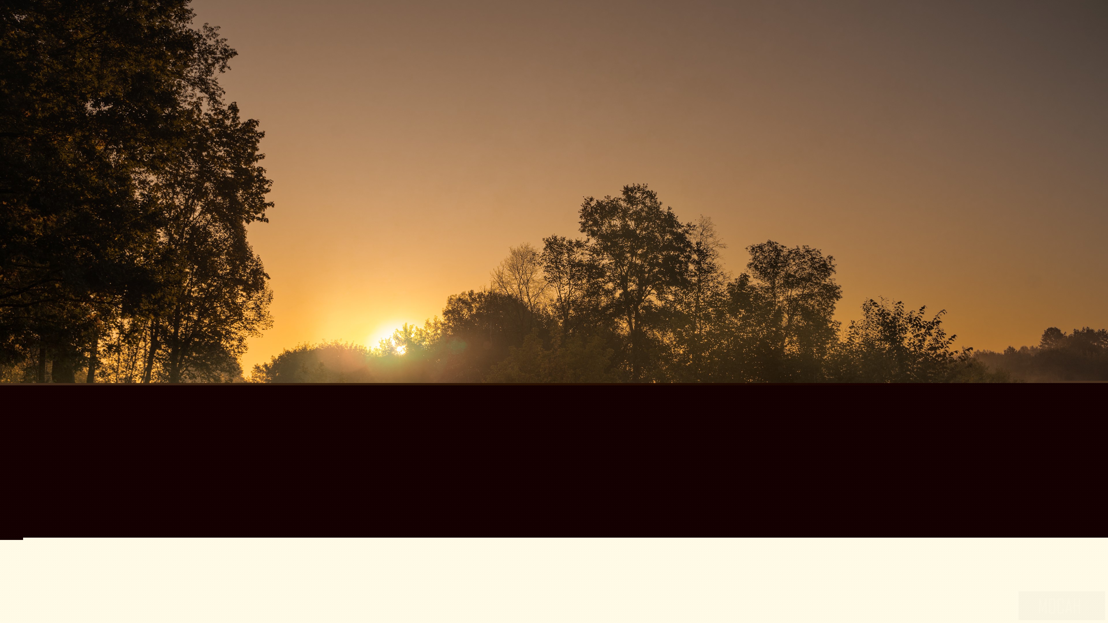 Sunrise over trees with mist HD Wallpaper