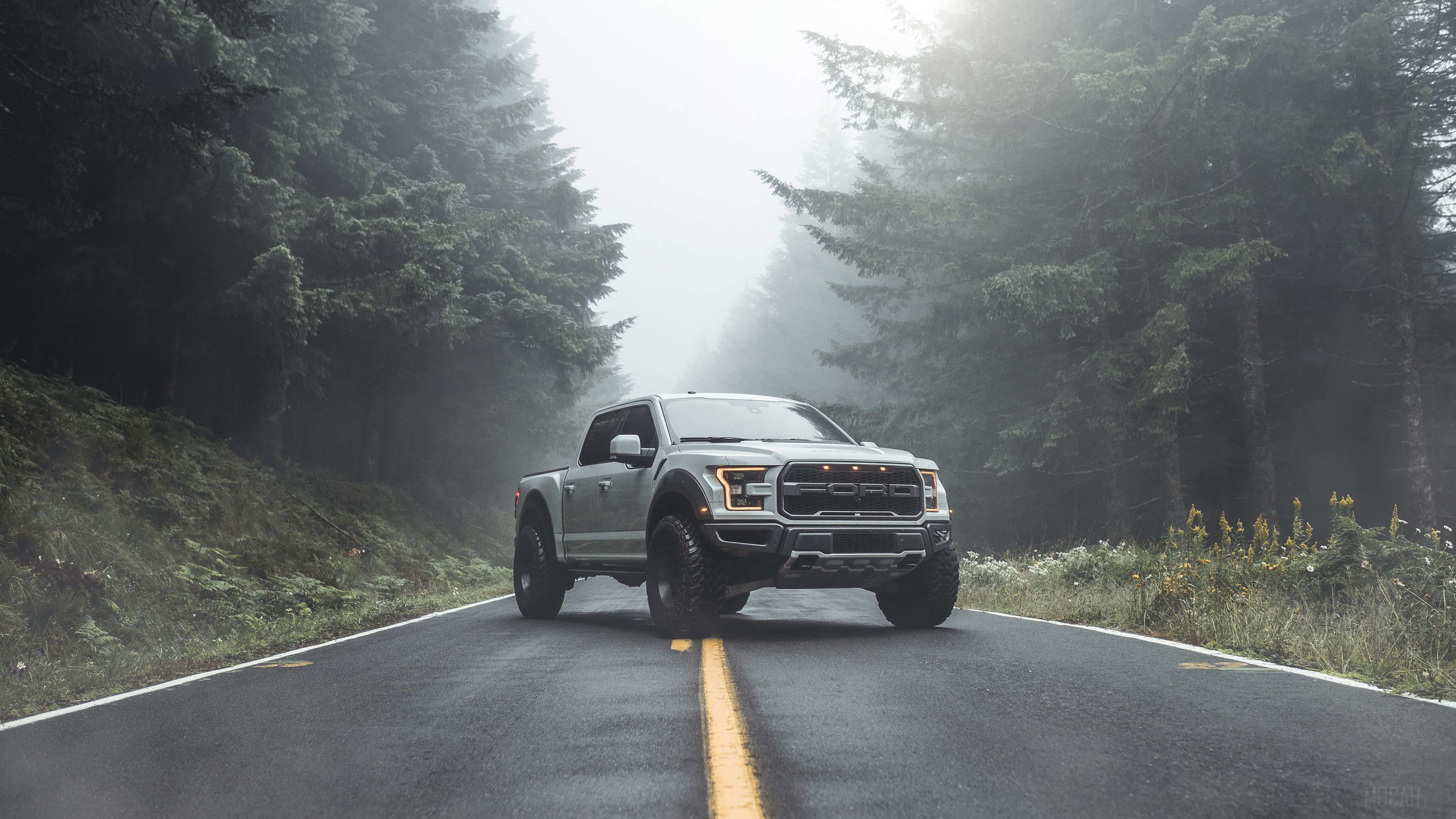 Ford Raptor 2019 4K on a Forest Road HD Wallpaper
