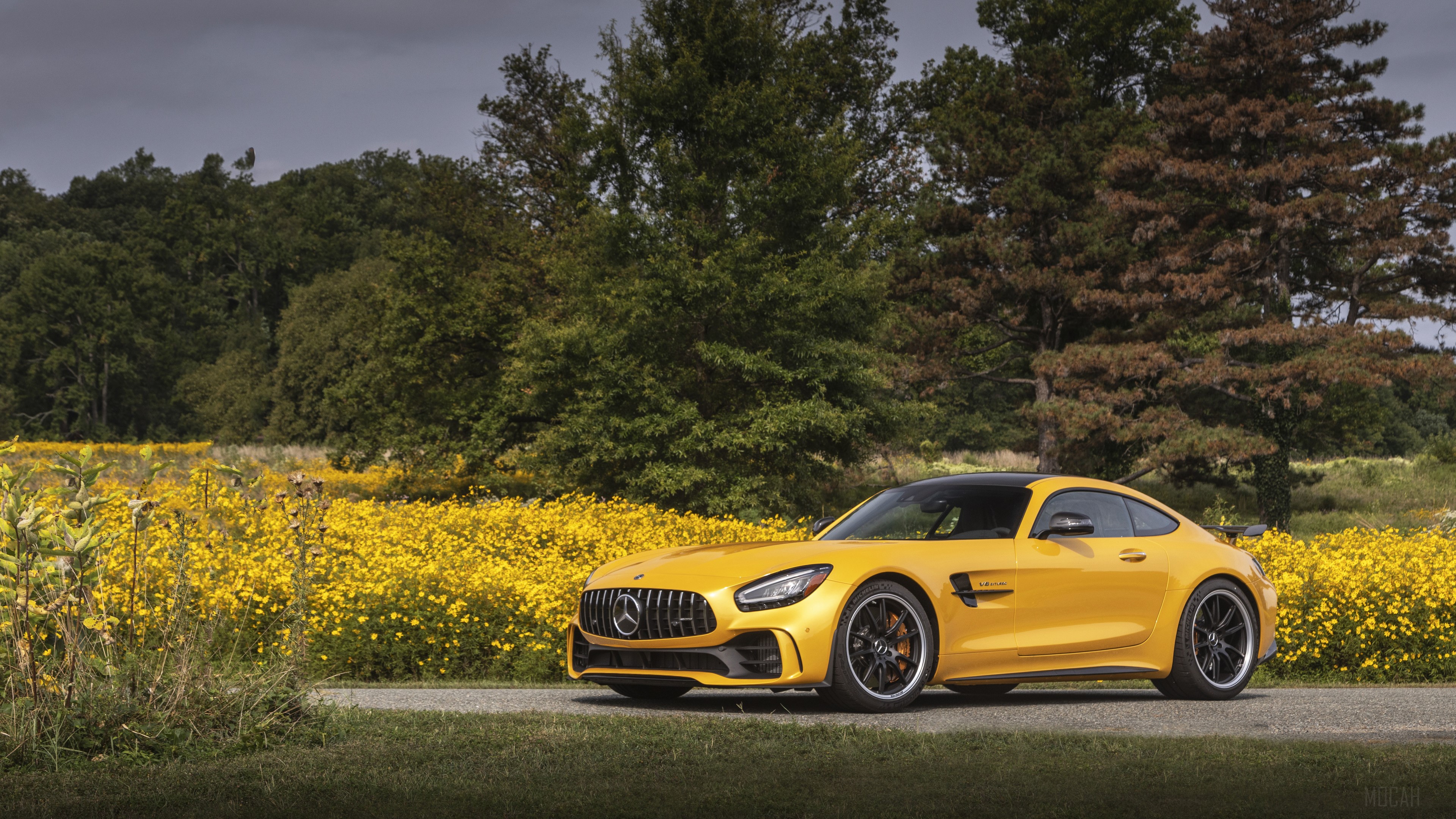2020 Mercedes AMG GT R HD Wallpaper