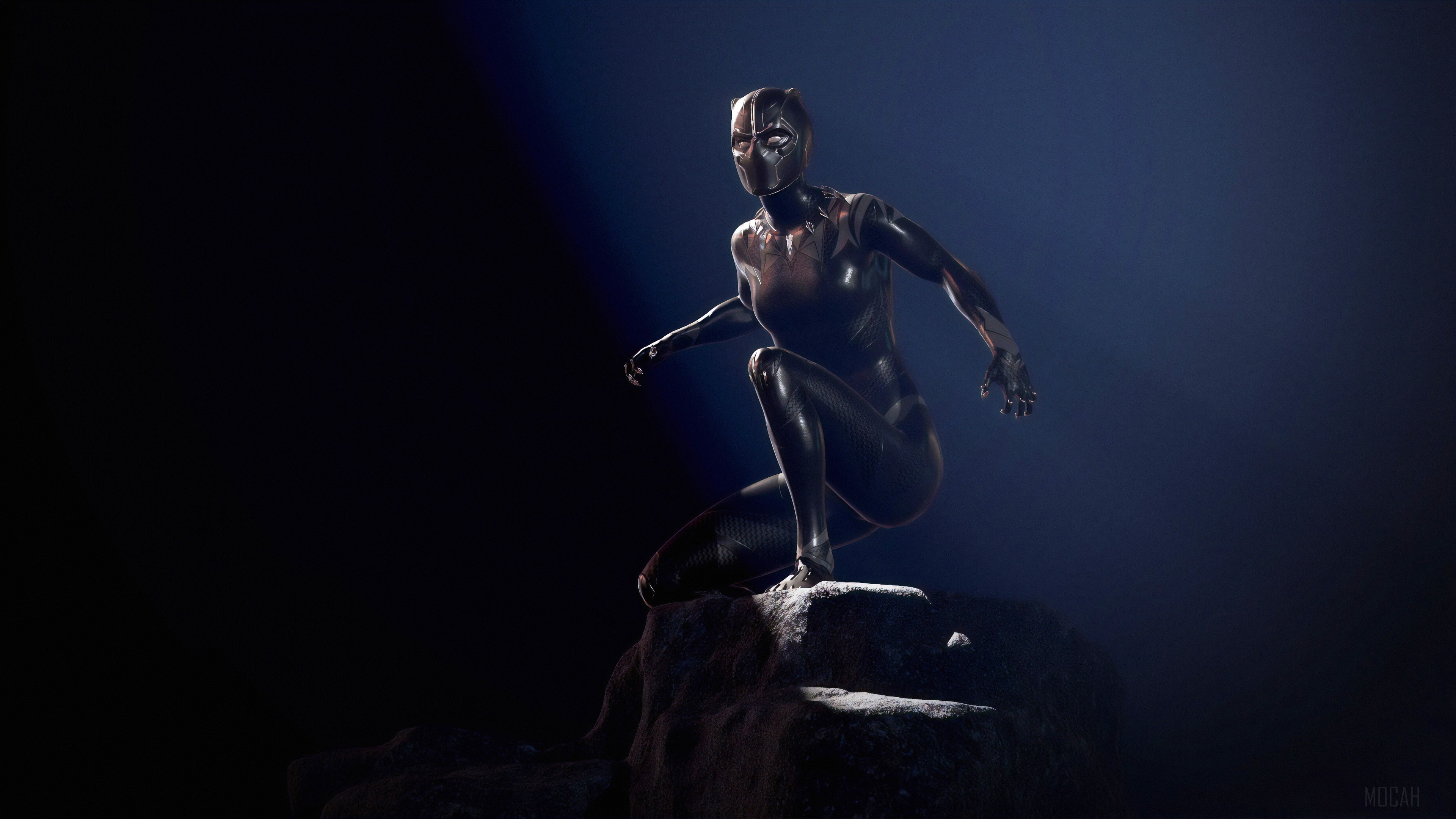 Lady Black Panther HD Wallpaper
