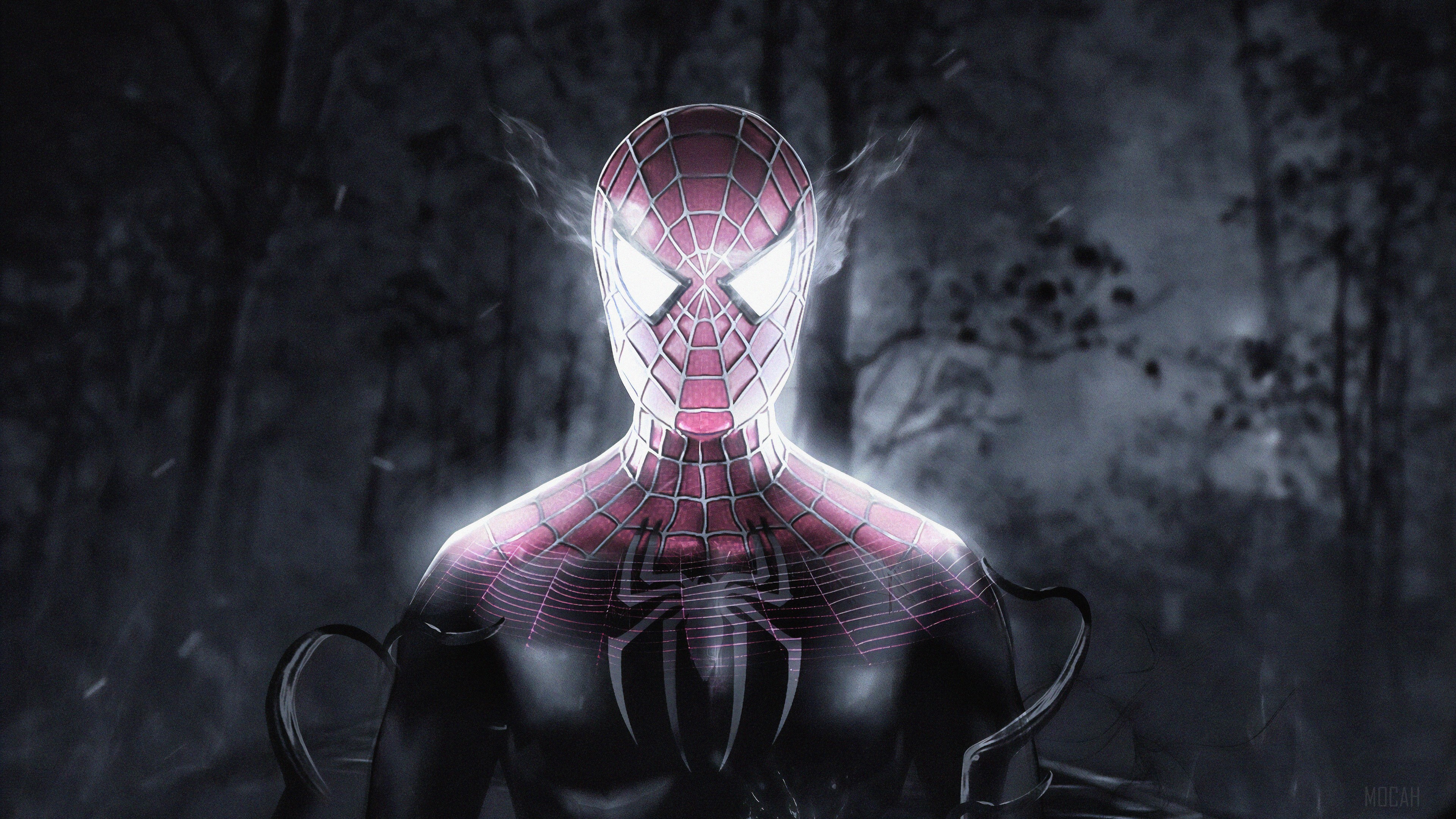 Spiderman Inside Venom HD Wallpaper