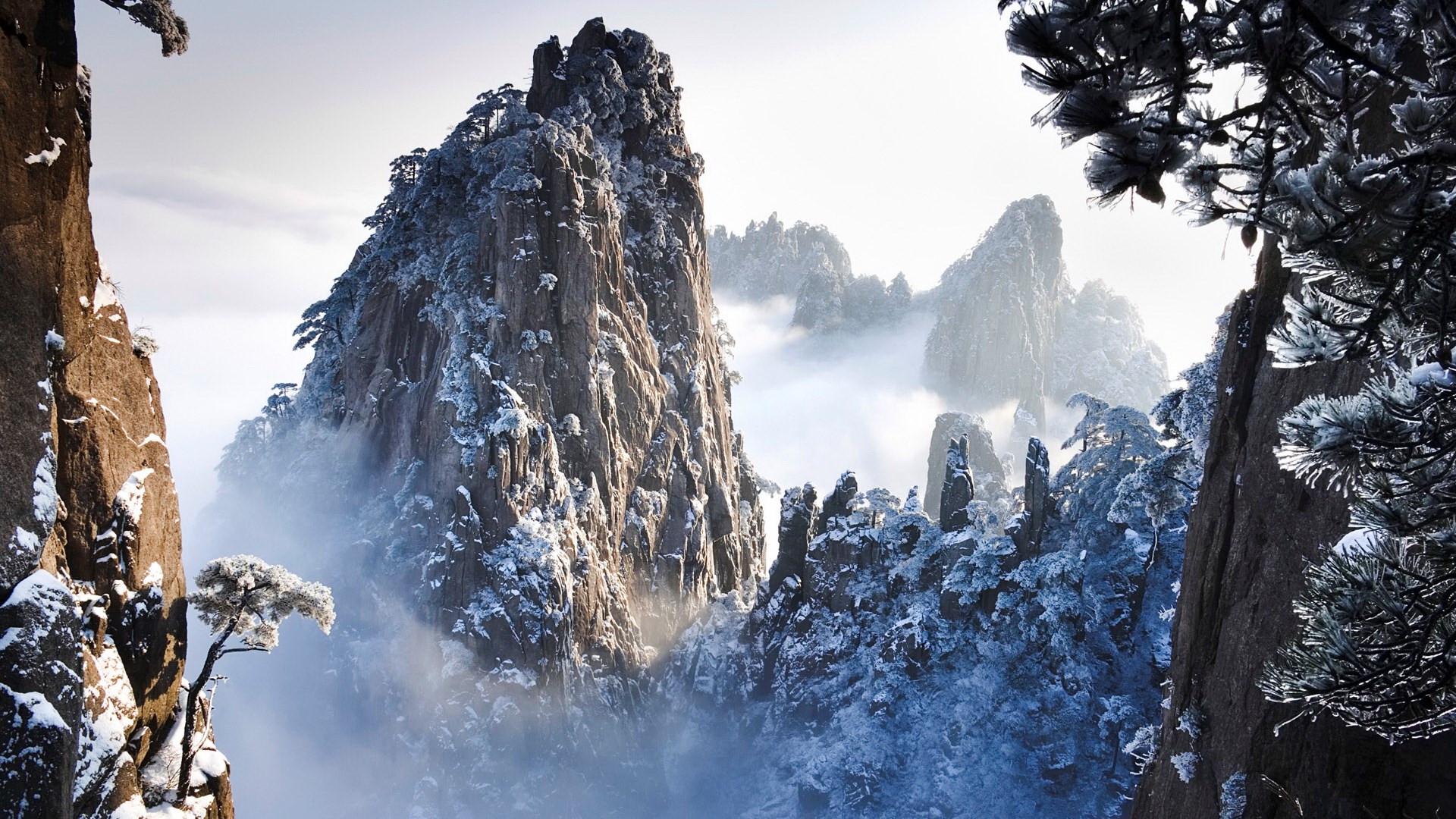 Snow-covered mountains with mist and pine trees HD Wallpaper