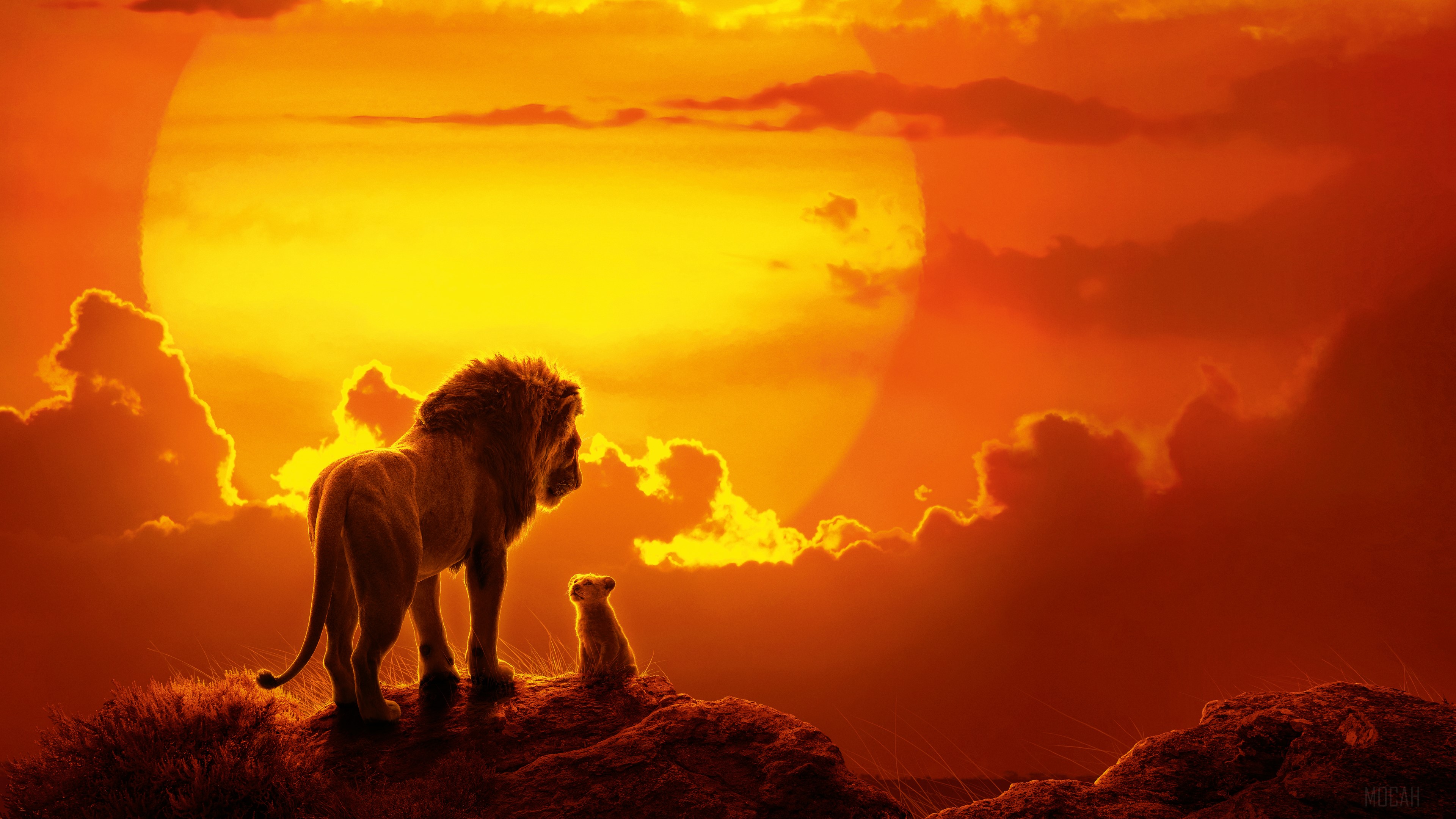 Simba and Nala from The Lion King 4K HD Wallpaper