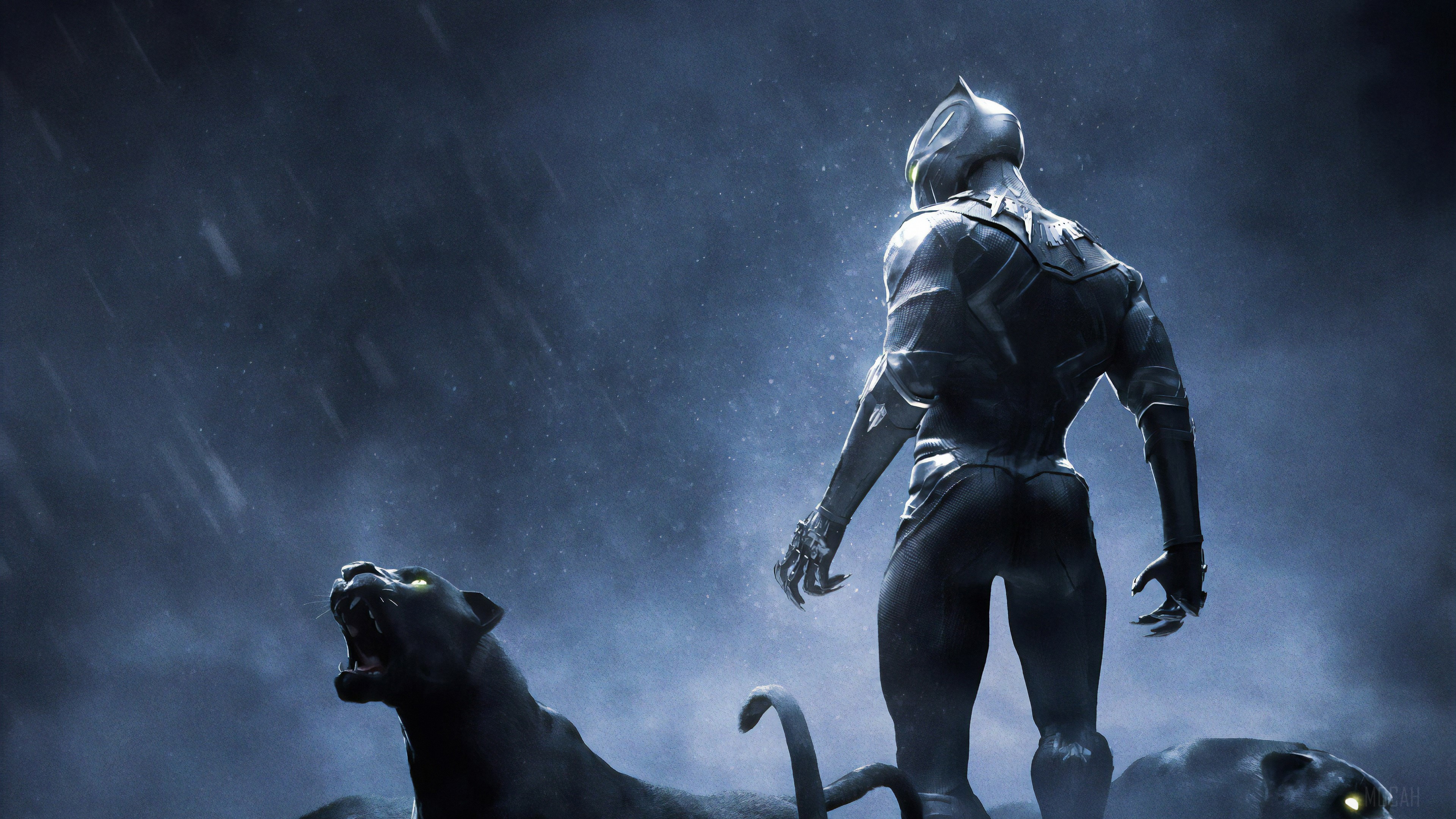 Black Panther with Panthers in the Rain 4K HD Wallpaper