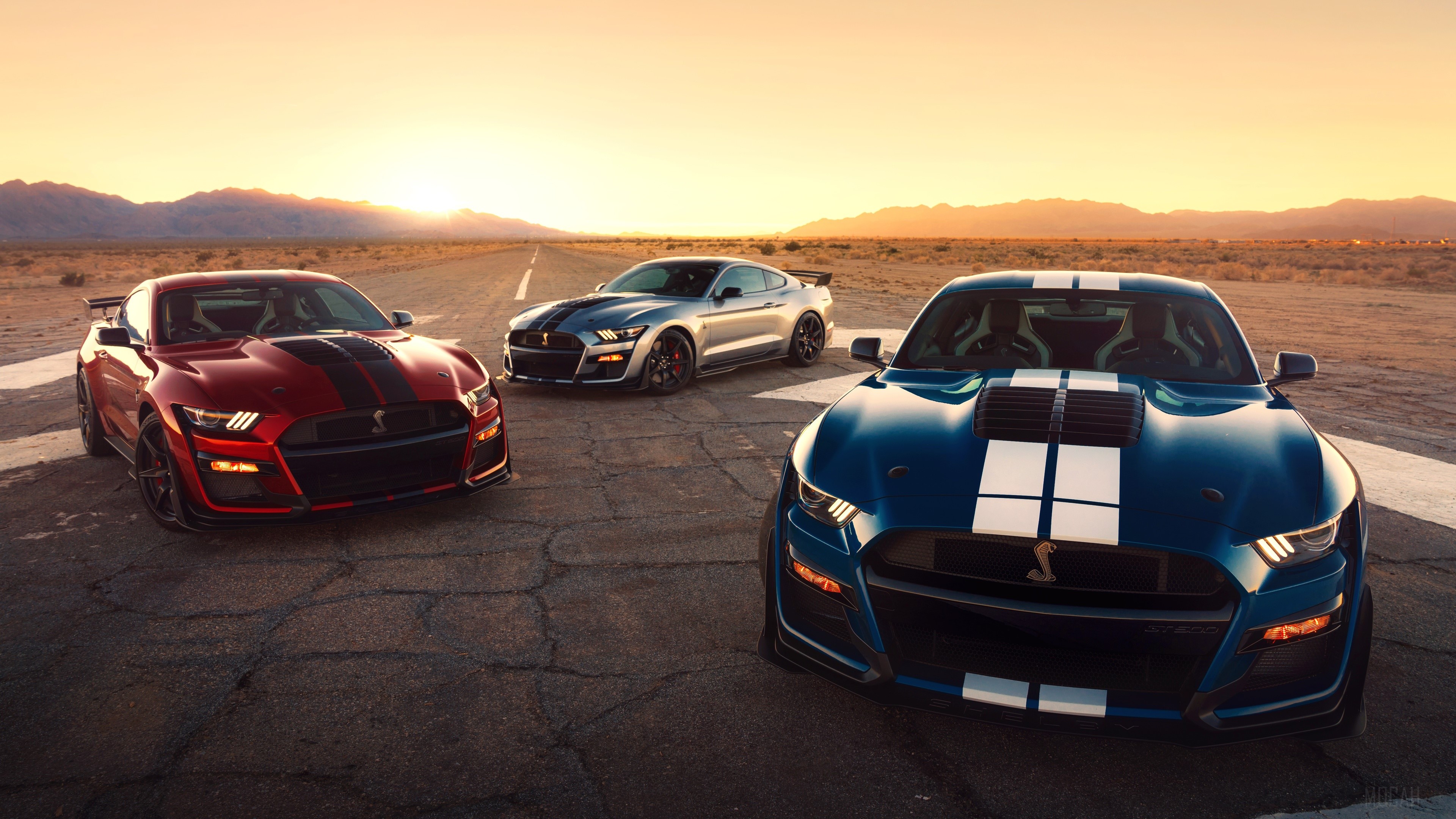 Ford Mustang Shelby GT500 2020 HD Wallpaper