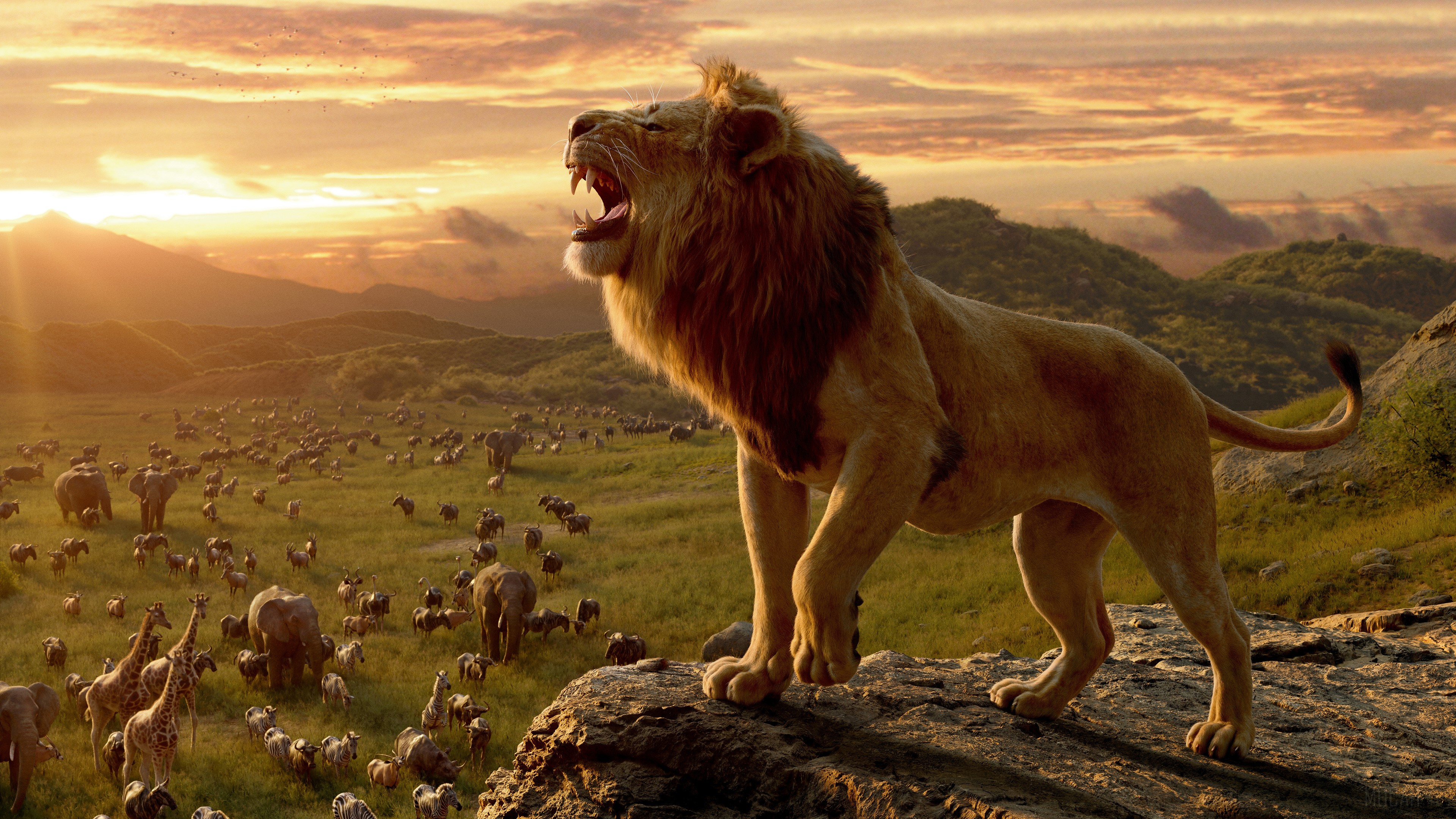 Simba from The Lion King 4K HD Wallpaper