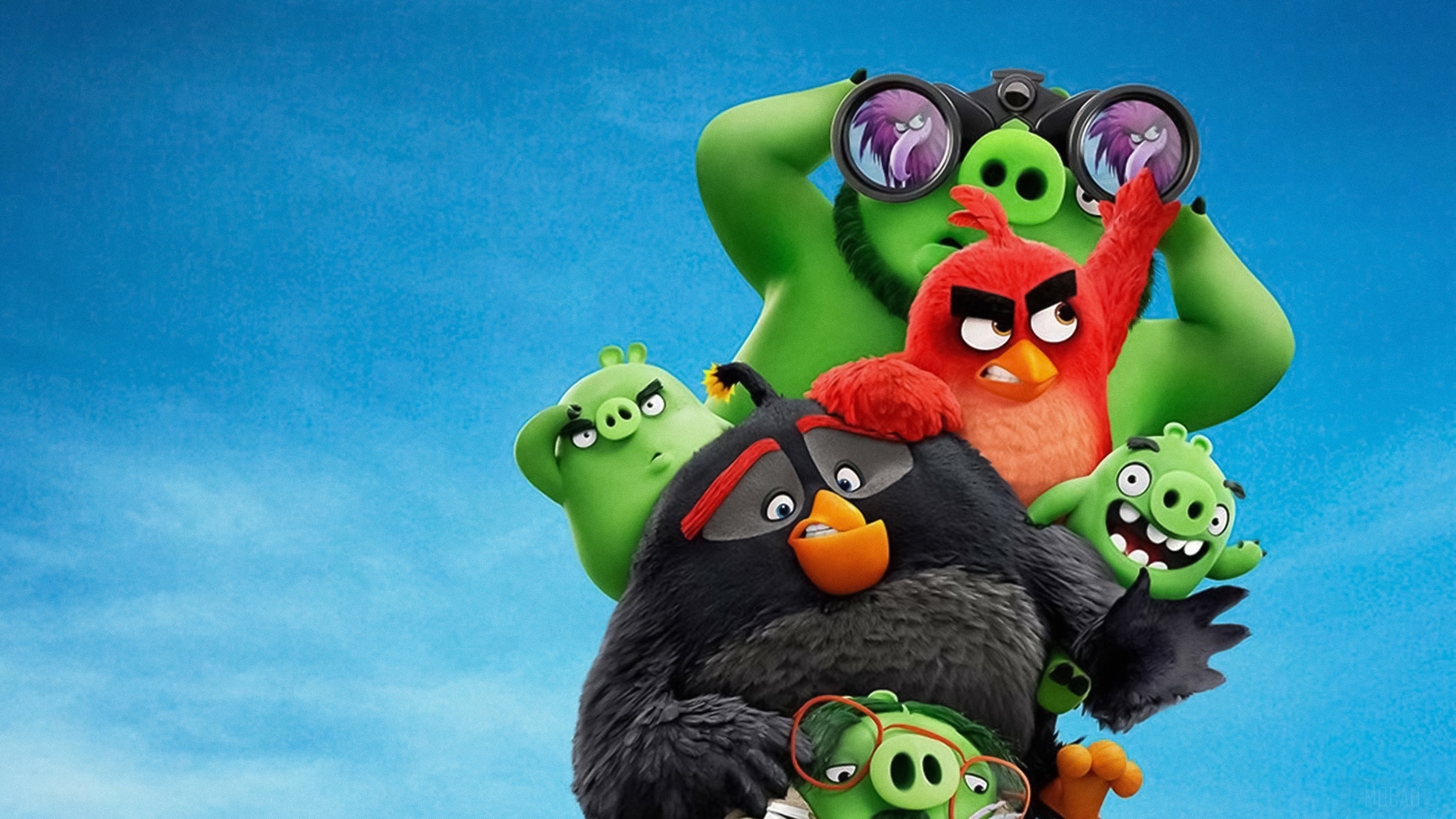 The Angry Birds Movie 2 HD Wallpaper