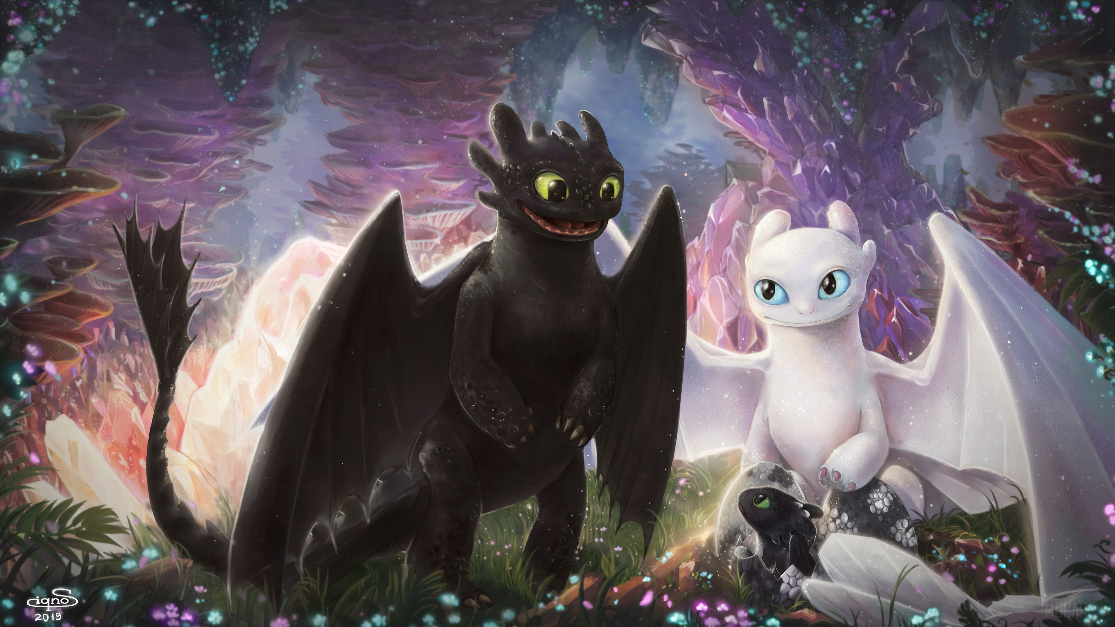 Toothless and Light Fury with Baby Dragons 4K HD Wallpaper
