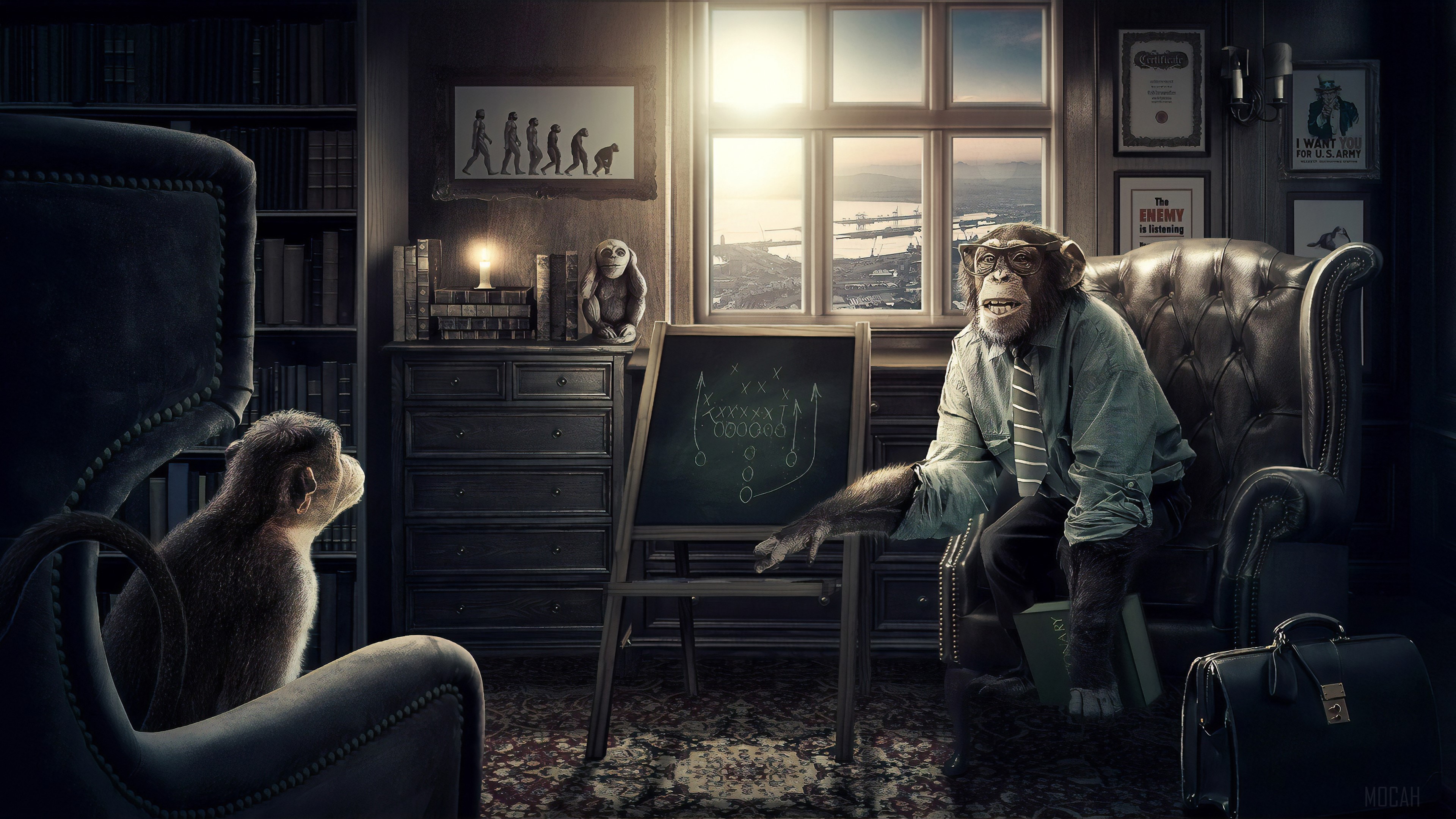 Professor Monkey HD Wallpaper