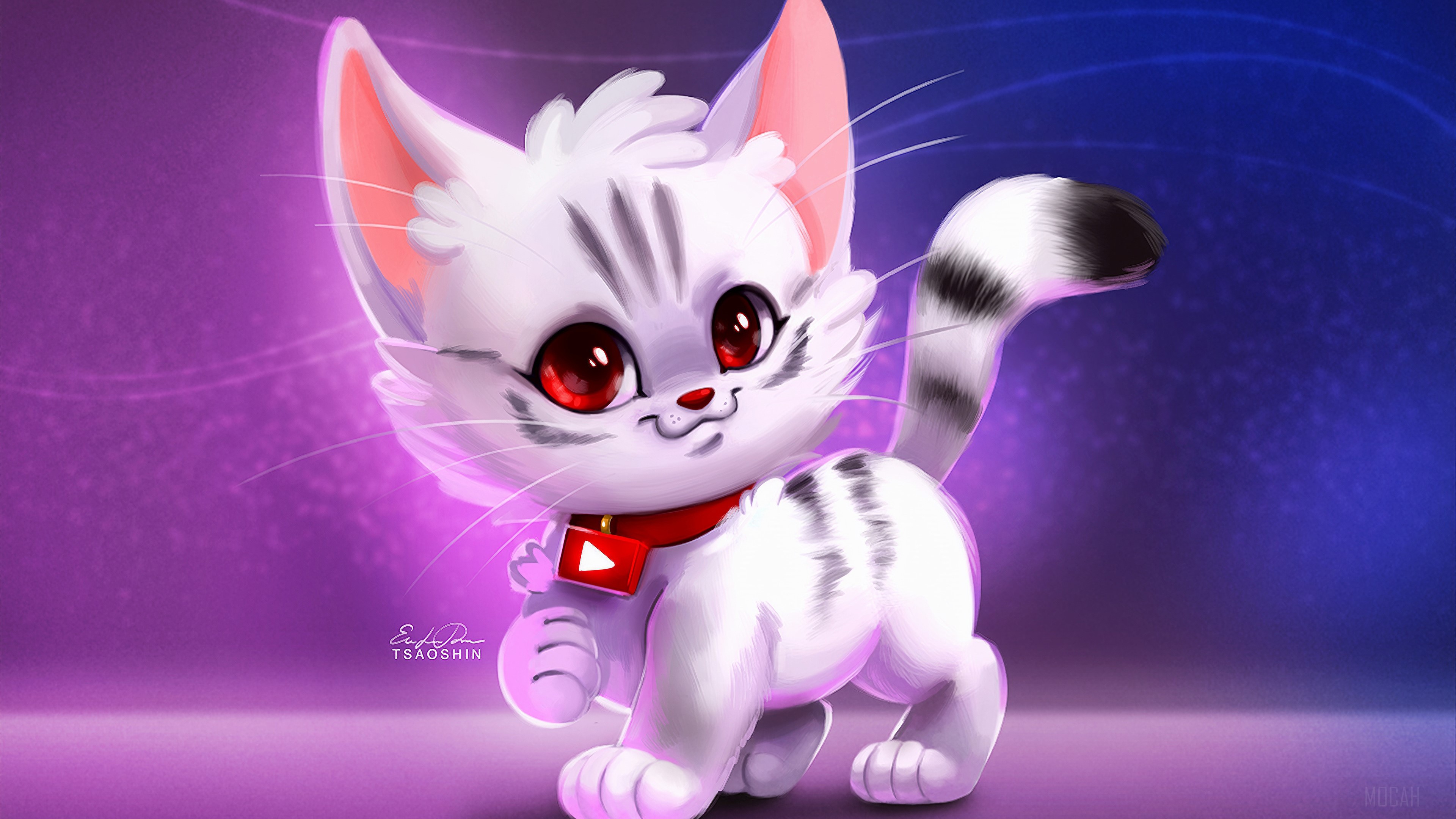 Cute white cat with red collar and YouTube logo 4K HD Wallpaper