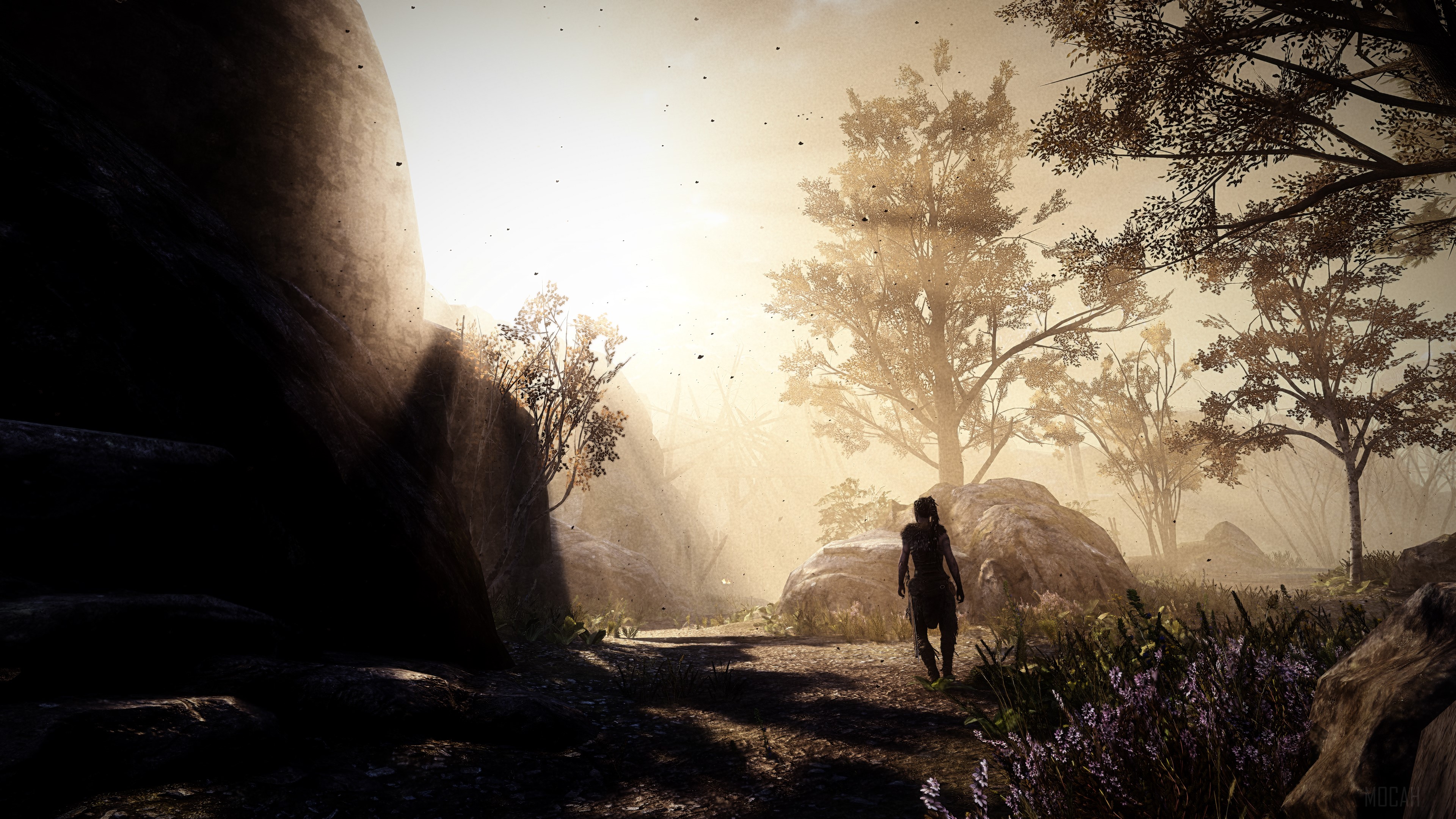 Senua from Hellblade Senuas Sacrifice Game 4K HD Wallpaper