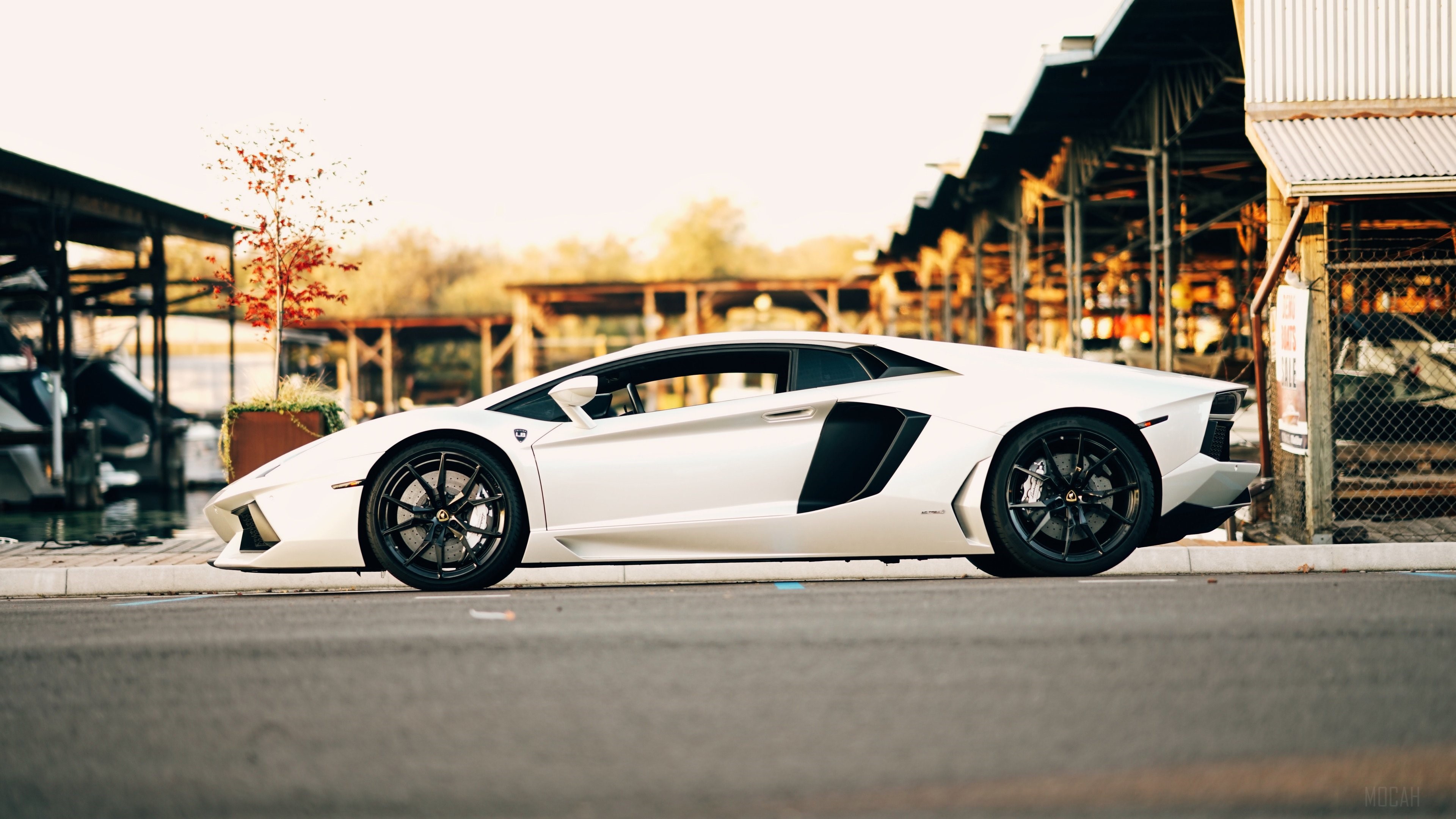White Lamborghini Aventador 4K HD Wallpaper