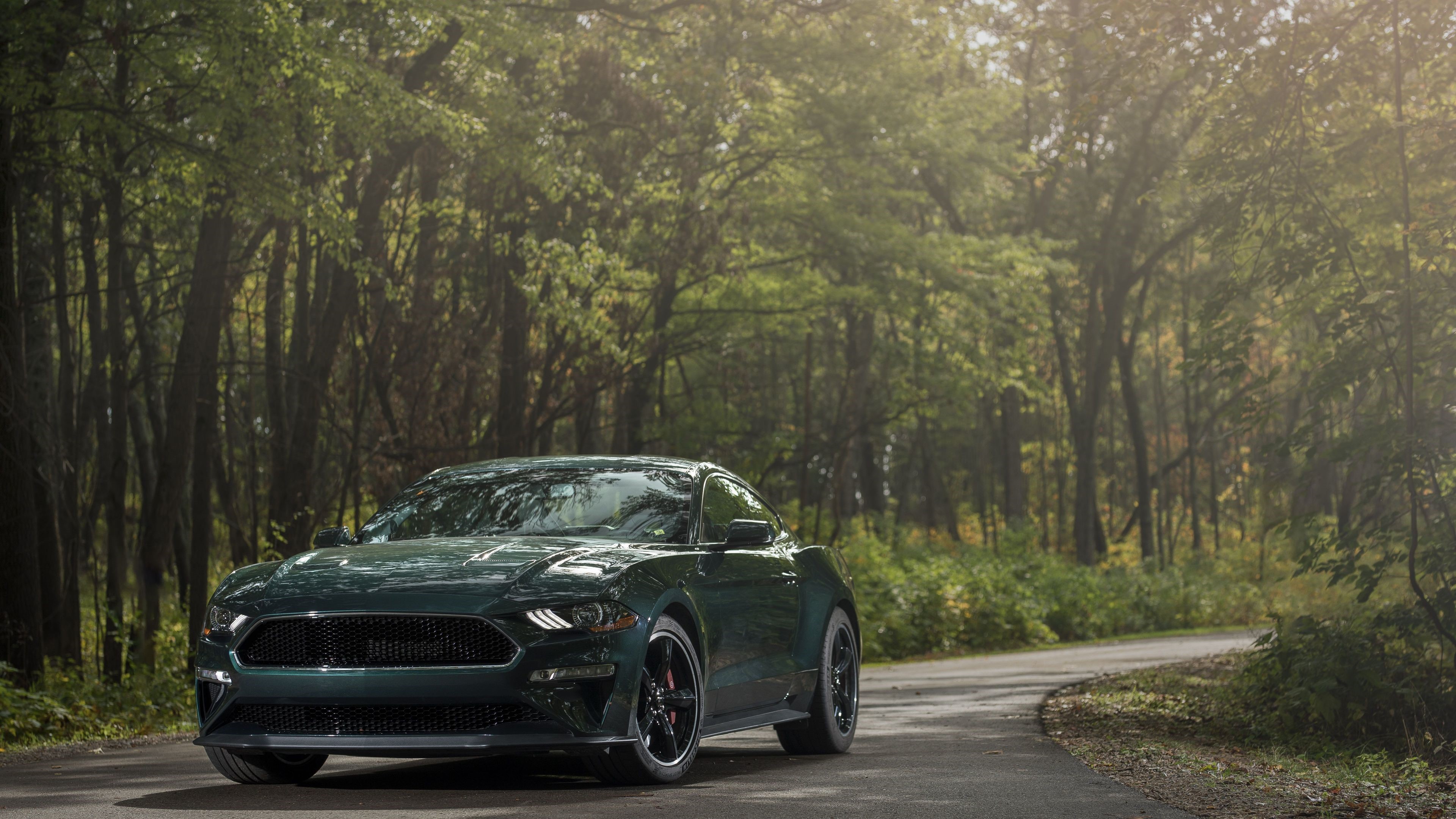 2019 Ford Mustang Bullitt in forest 4K HD Wallpaper