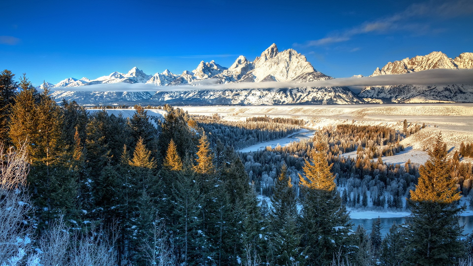Snow-covered mountains and pine forest in winter HD Wallpaper