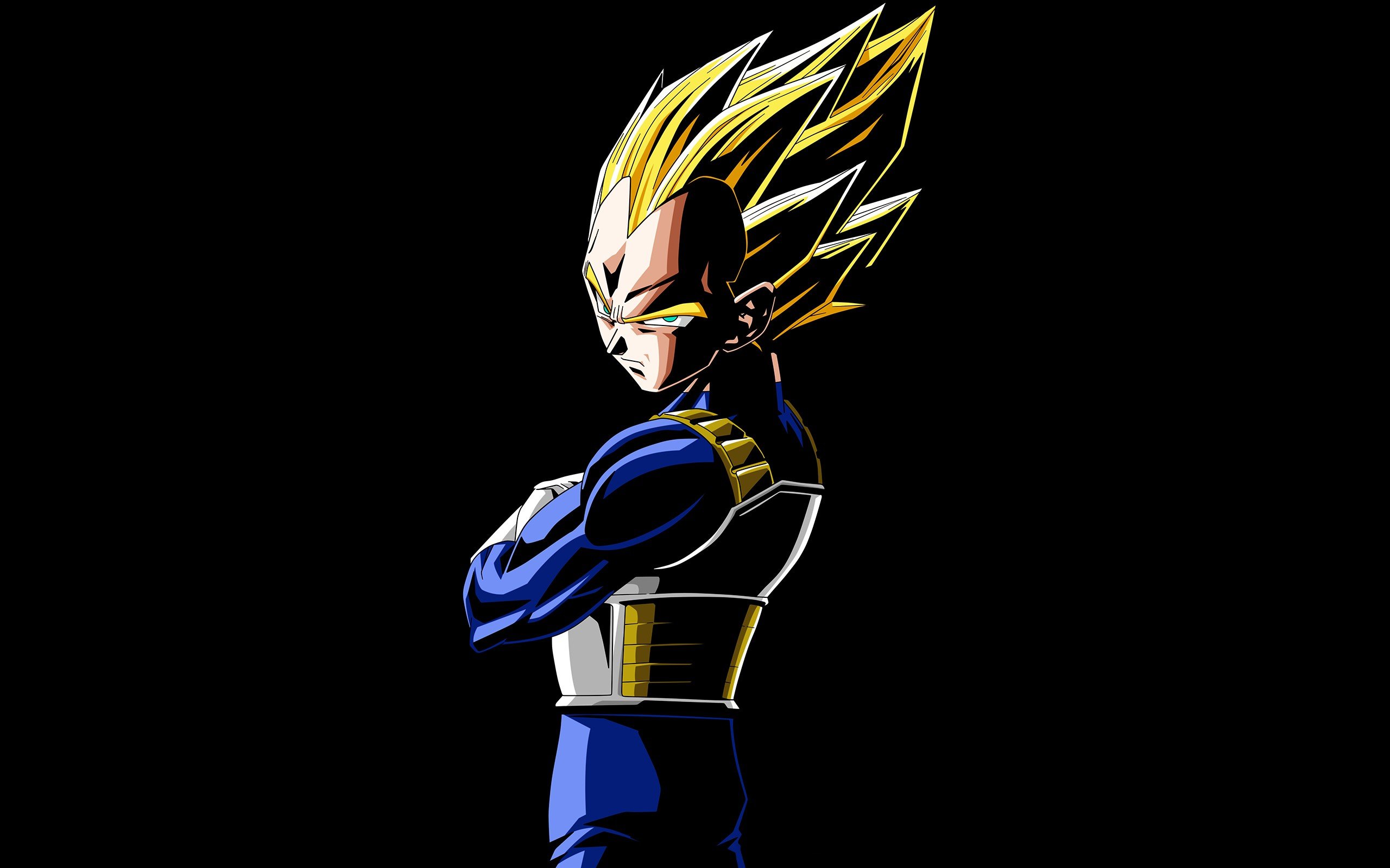 Vegeta from Dragon Ball Z HD Wallpaper