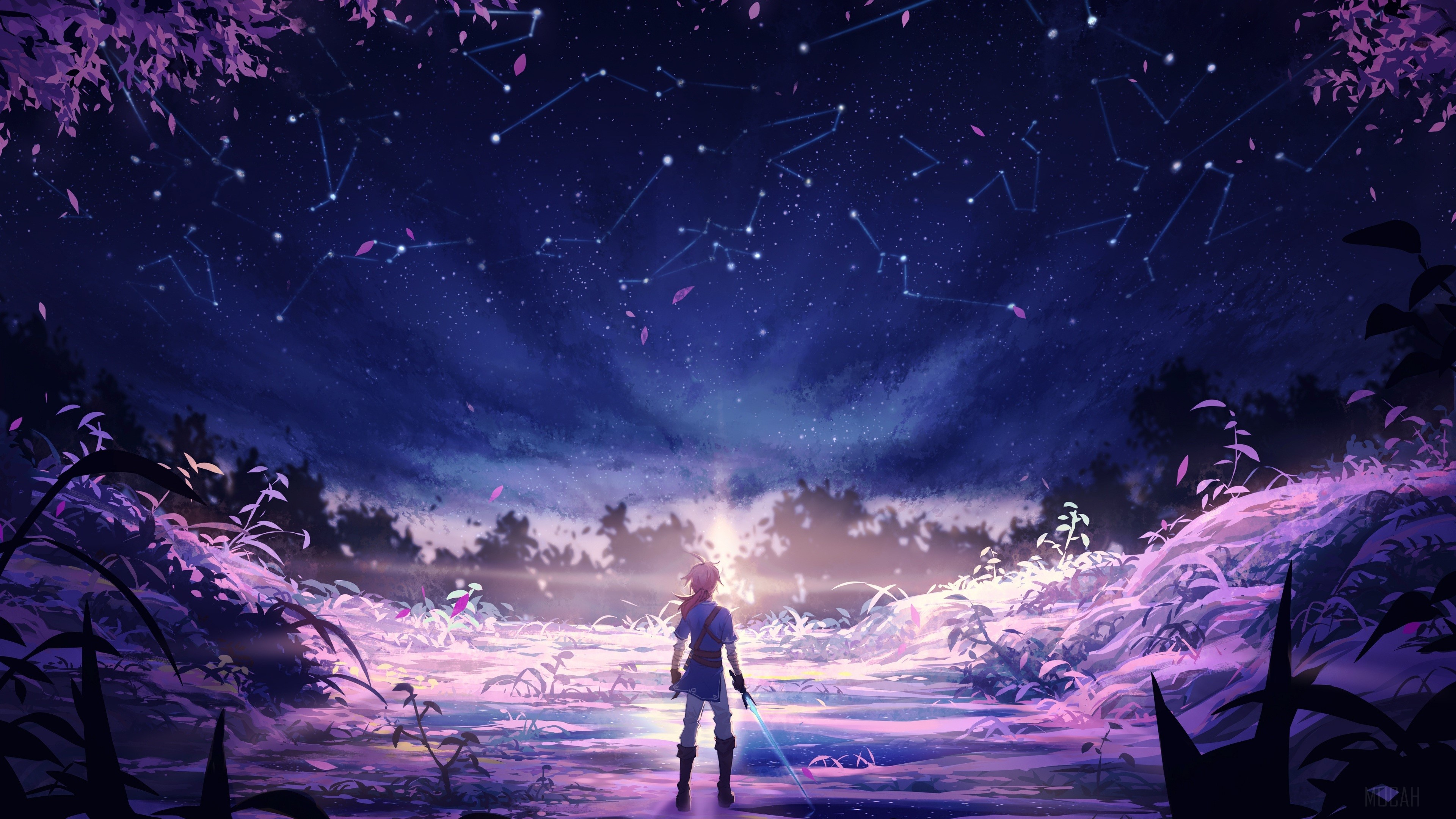 Link from The Legend of Zelda: Breath of the Wild under the stars 4K HD Wallpaper