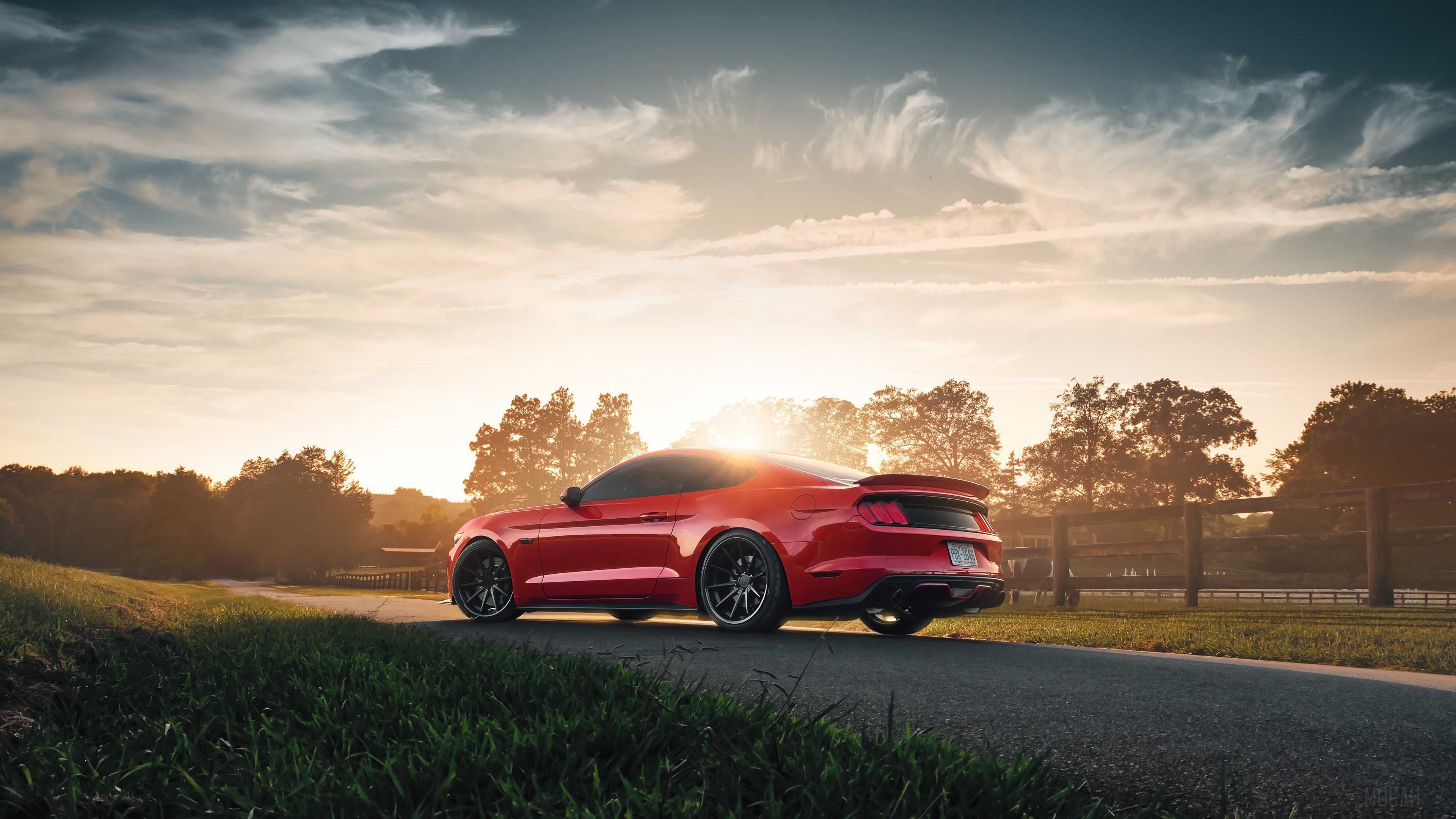 Red 2019 Ford Mustang GT 4K HD Wallpaper