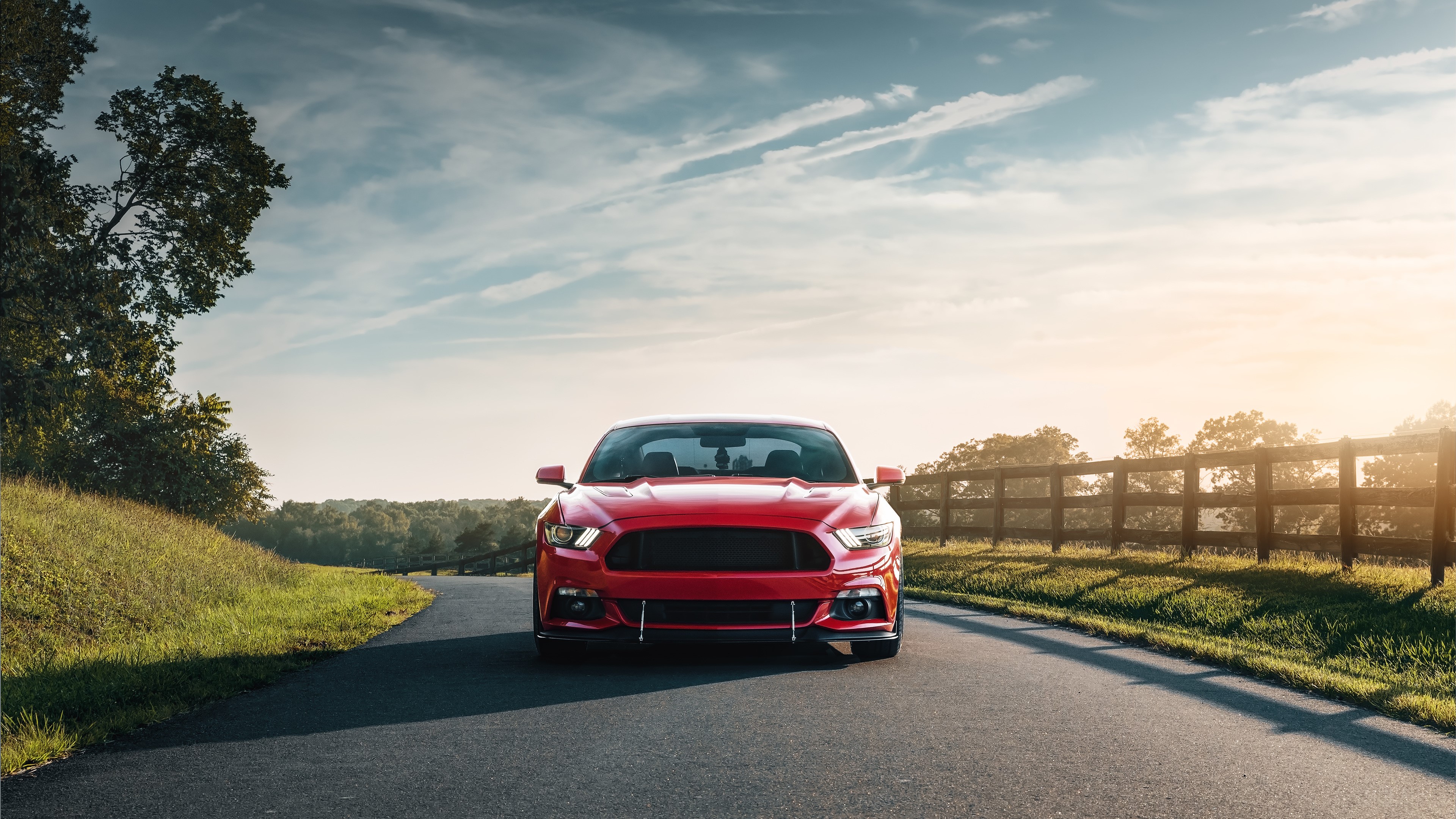 Red Ford Mustang GT on a Road HD Wallpaper