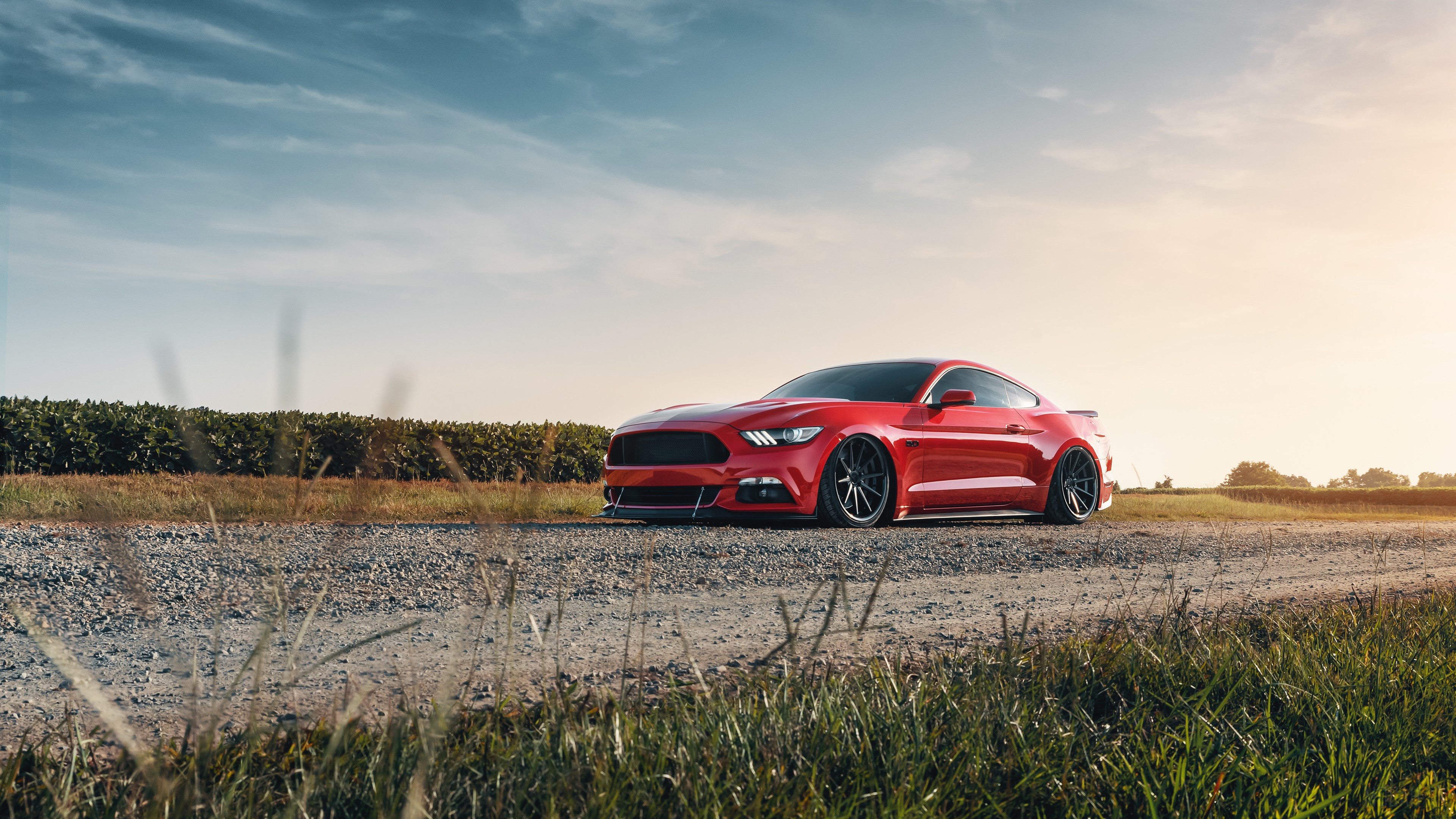 Red Ford Mustang GT on a dirt road HD Wallpaper