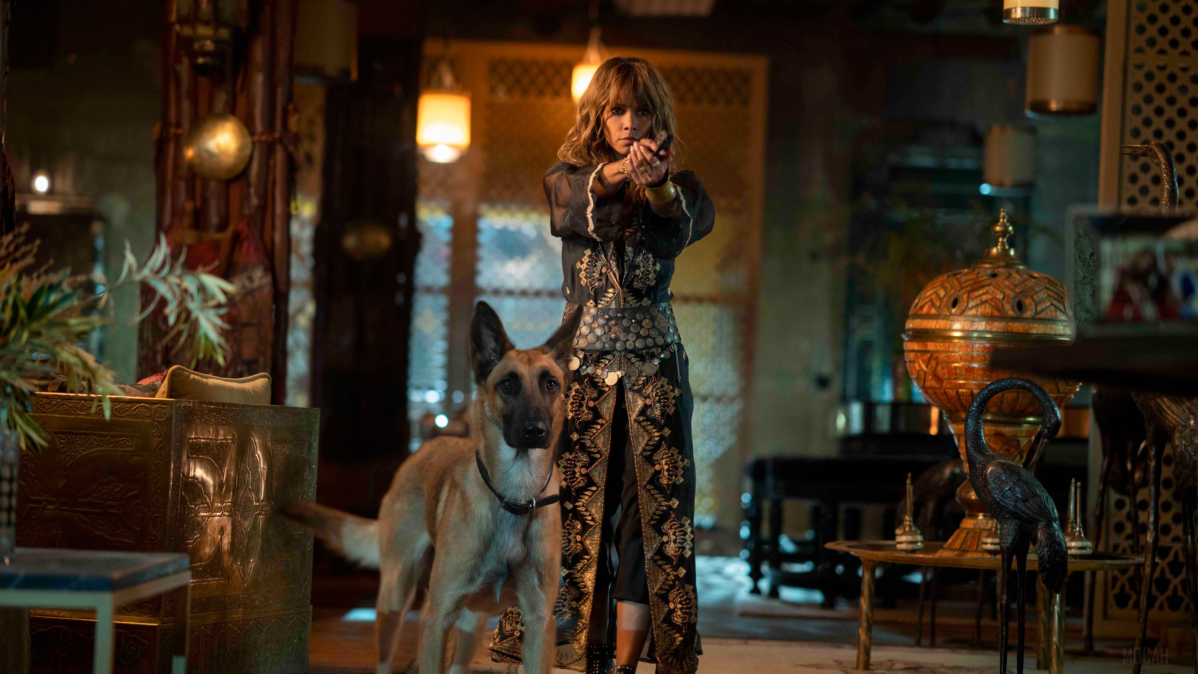 Sofia Al-Azwar from John Wick Chapter 3 Parabellum 2019 4K HD Wallpaper