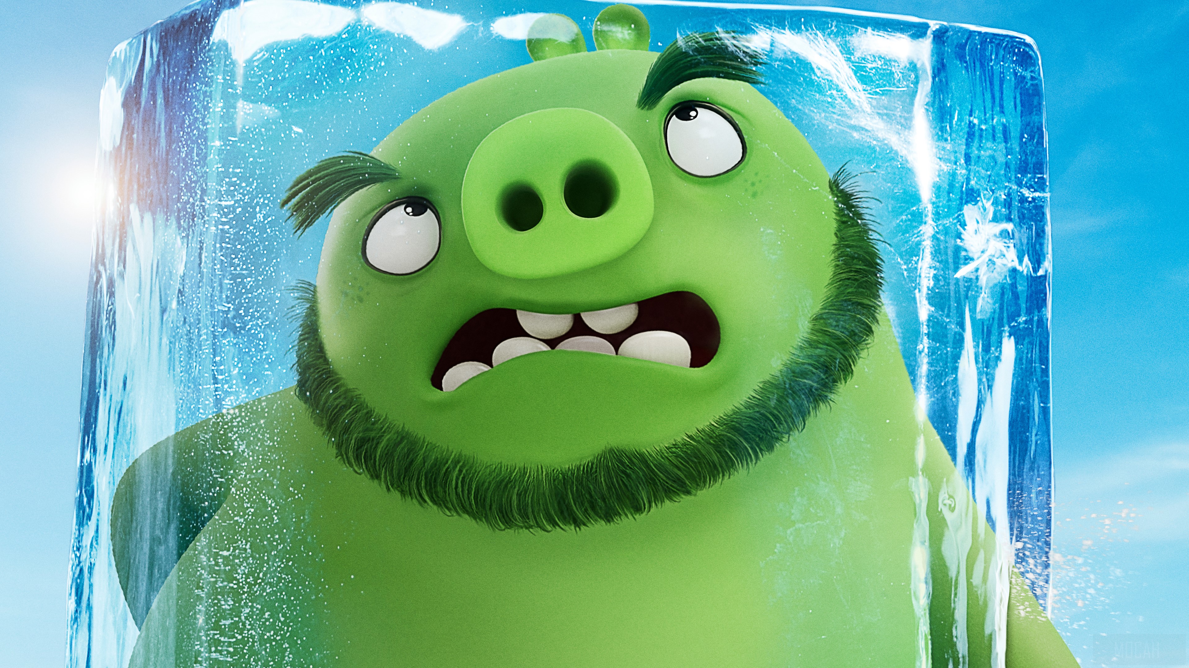 Leonard from The Angry Birds Movie 2 4K HD Wallpaper