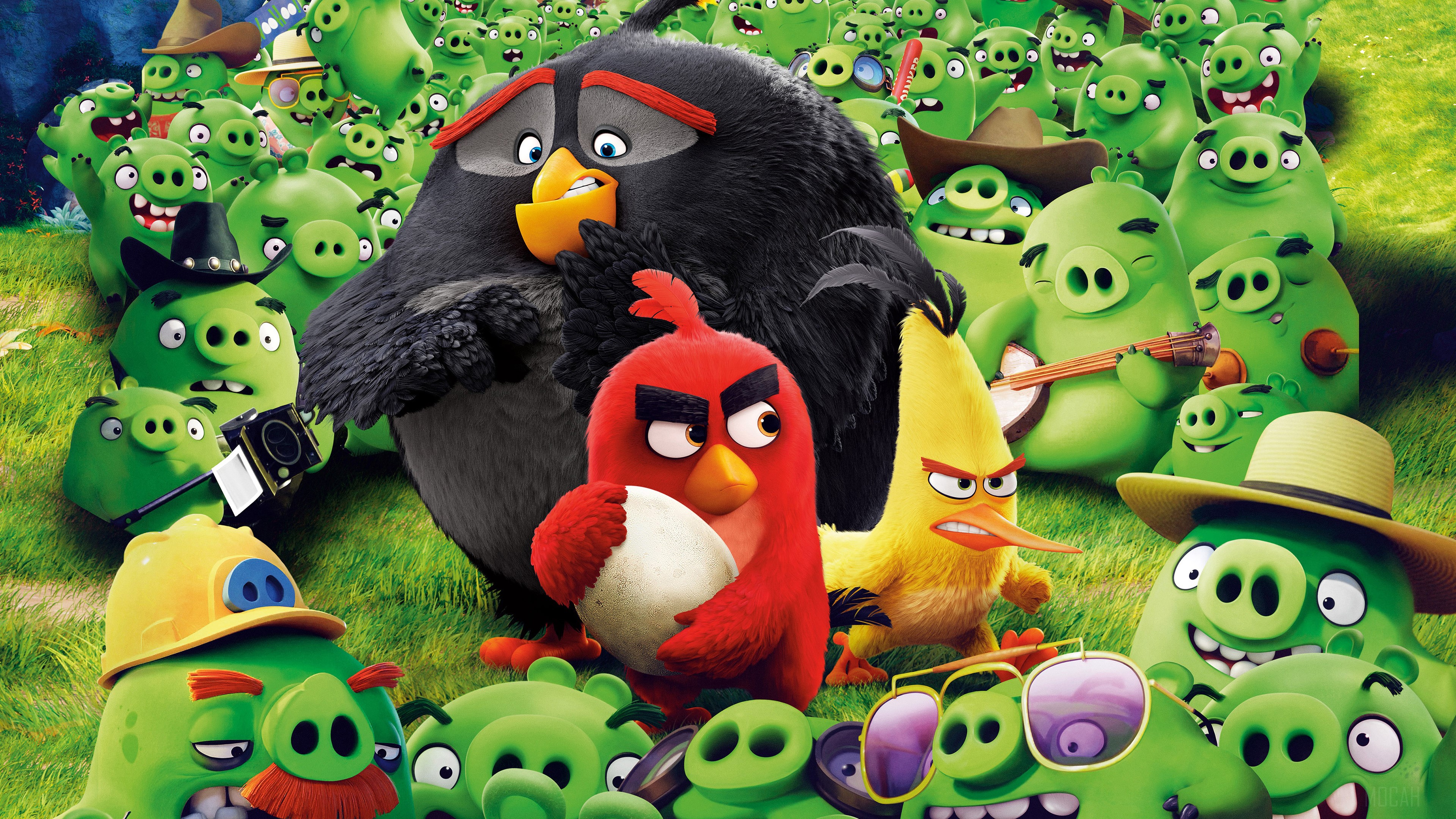 The Angry Birds Movie 4K HD Wallpaper