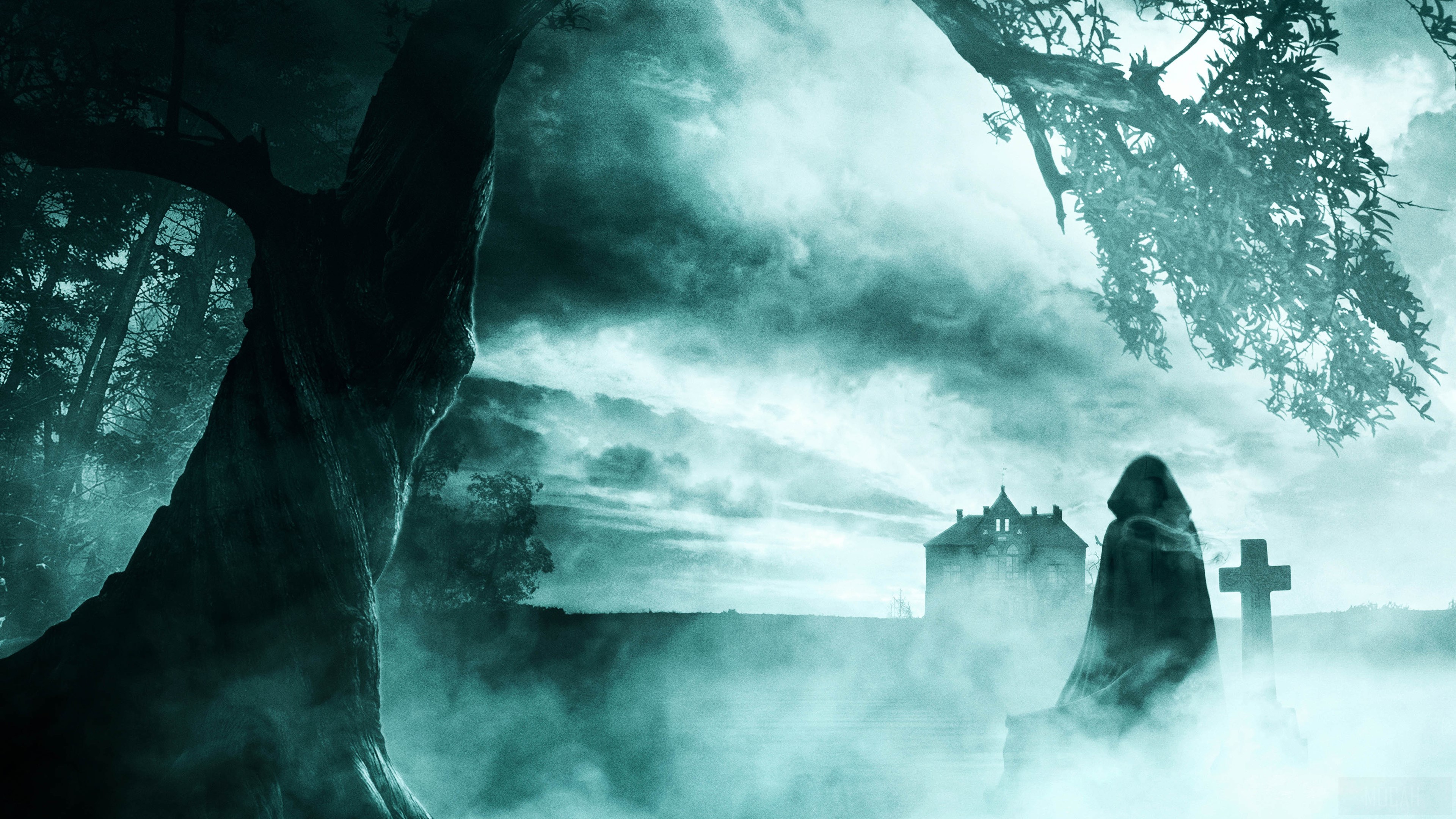 The Woman In Black HD Wallpaper