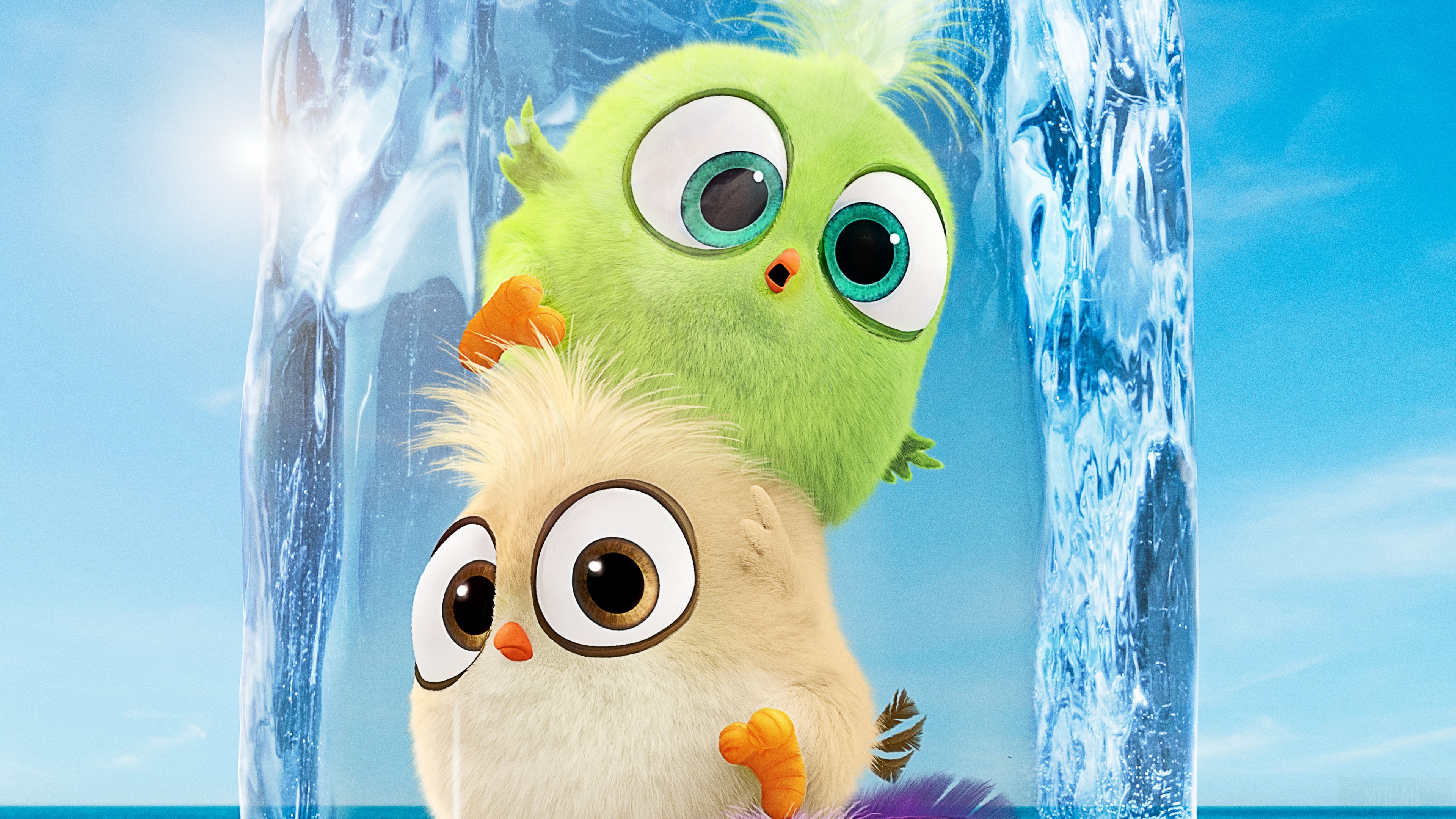 Hatchlings from The Angry Birds Movie 2 4K HD Wallpaper