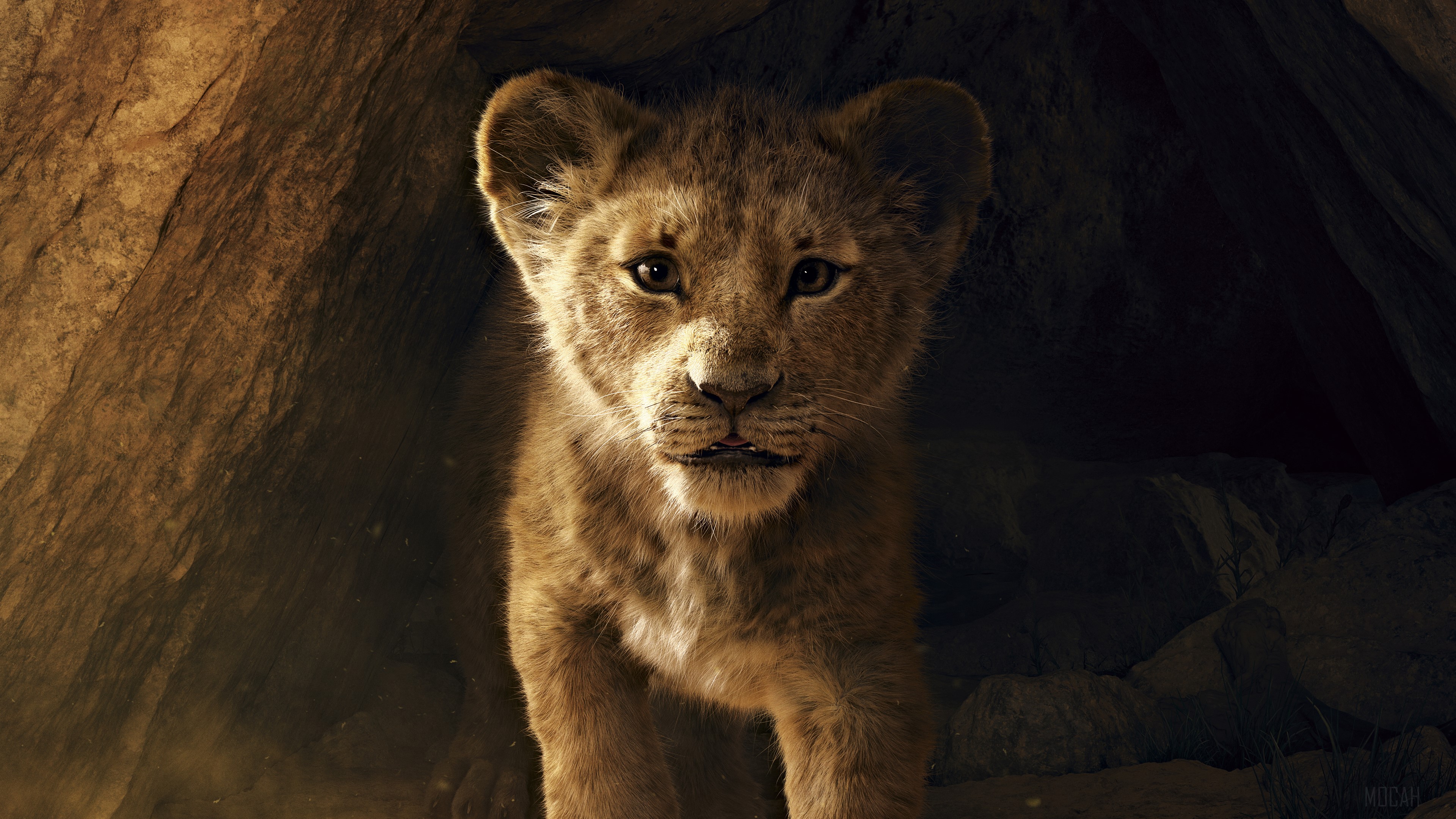 Simba from The Lion King 4K HD Wallpaper