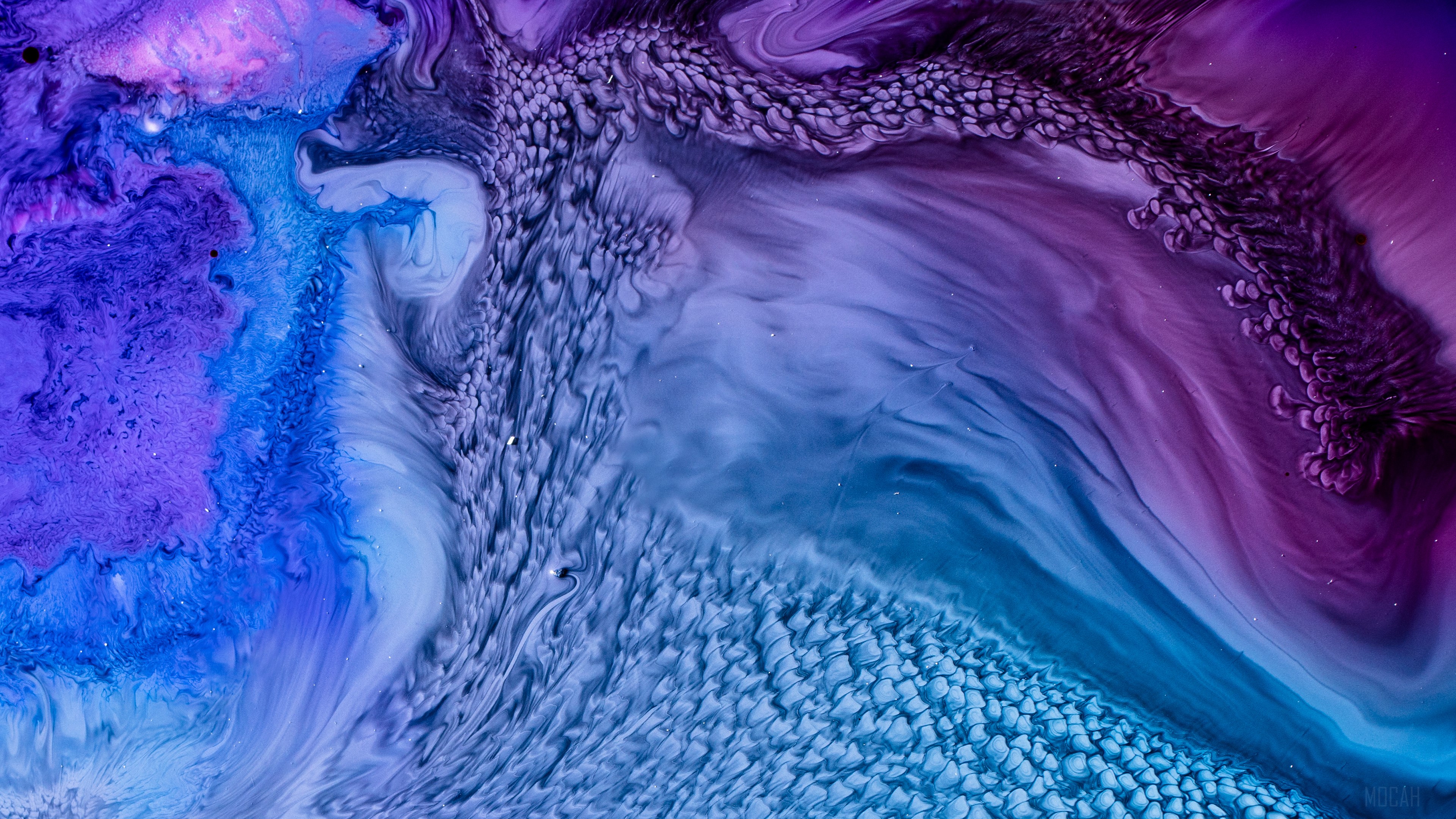 Abstract Fluid Art with Purple and Blue Hues 4K HD Wallpaper
