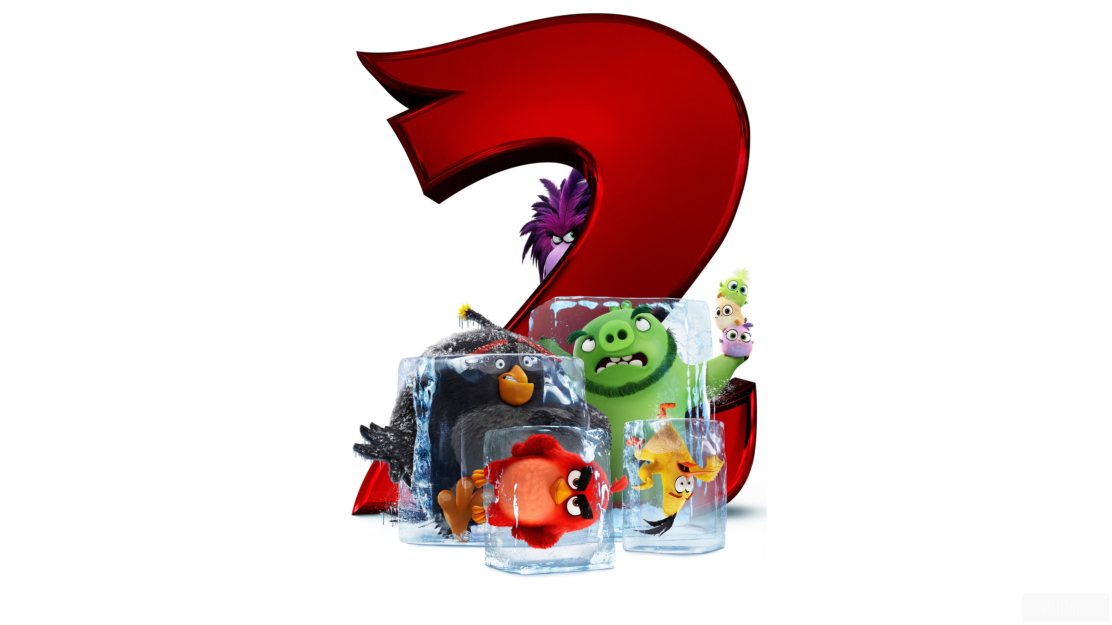 The Angry Birds Movie 2 HD Wallpaper