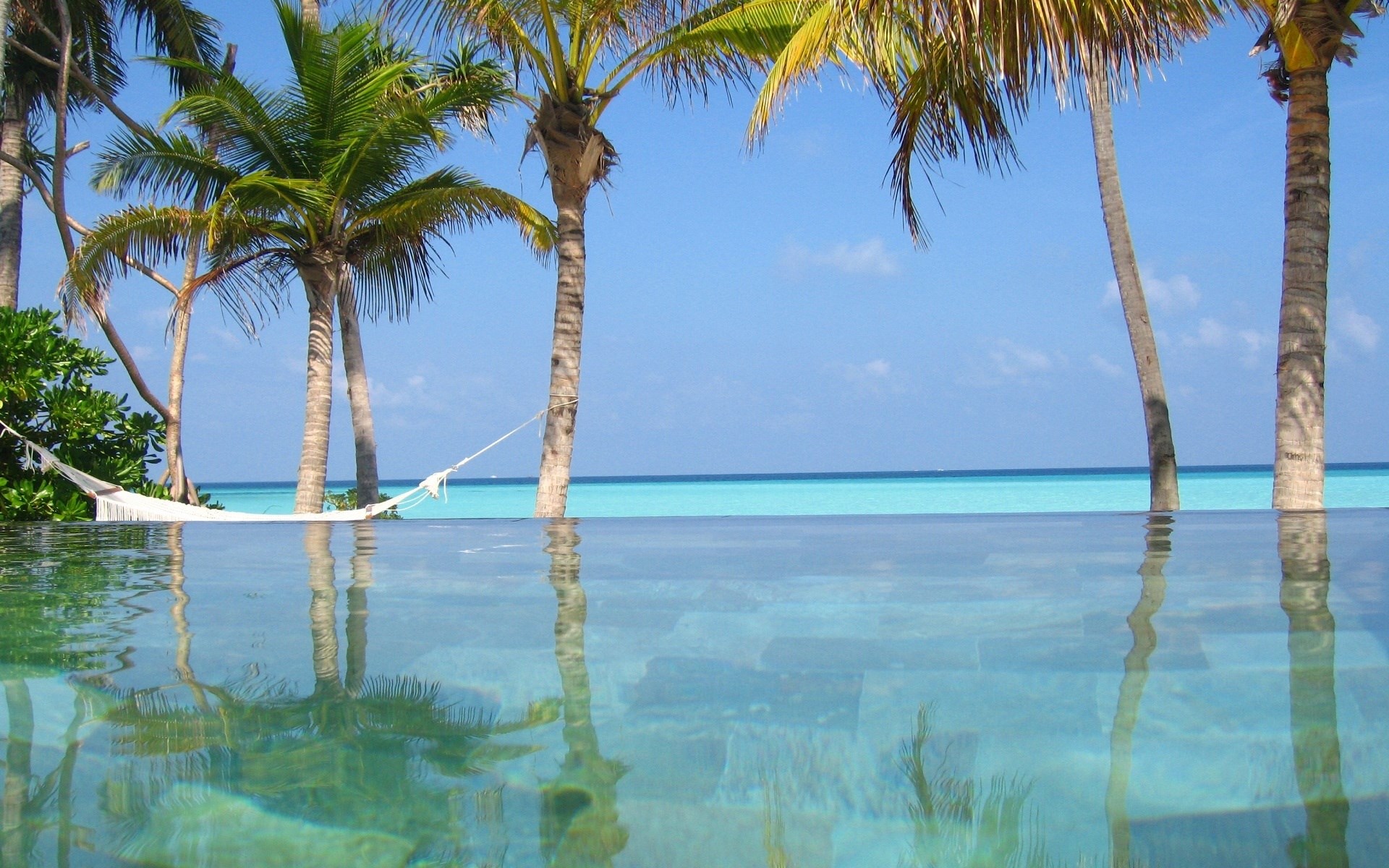 Infinity pool overlooking turquoise ocean with palm trees and hammock HD Wallpaper