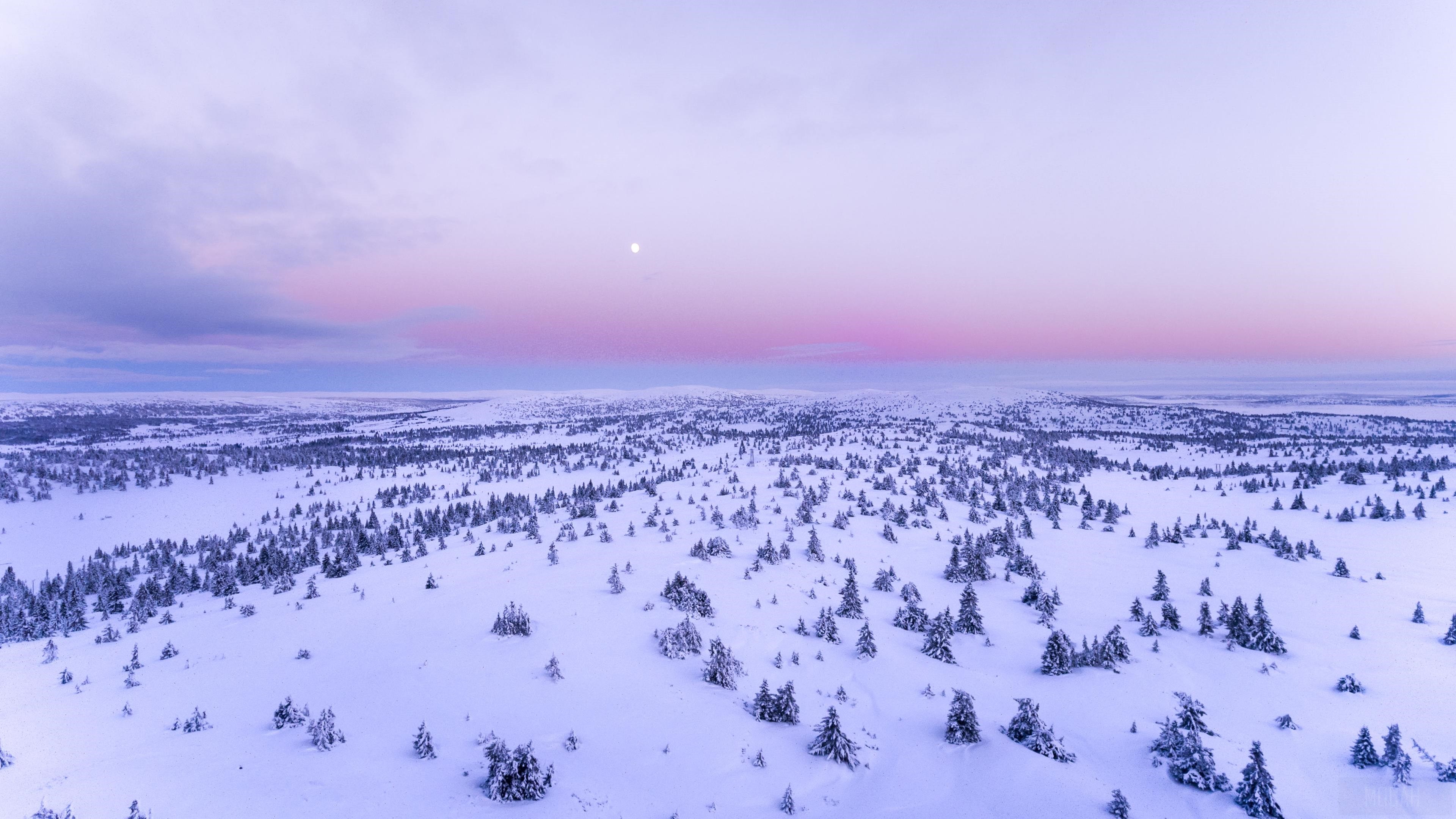 Snow Covered Field HD Wallpaper