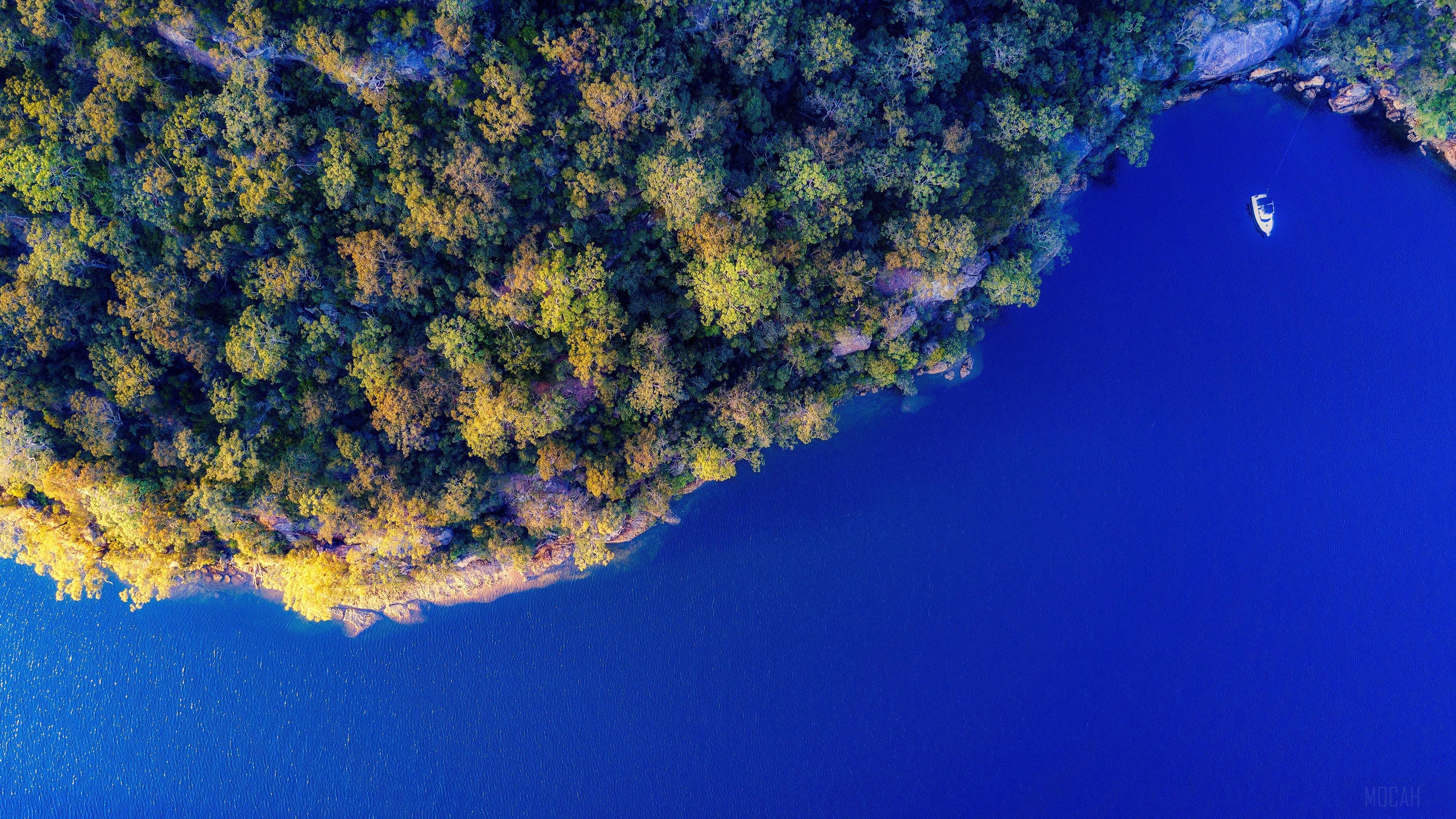 Aerial view of island forest and blue water with boat HD Wallpaper
