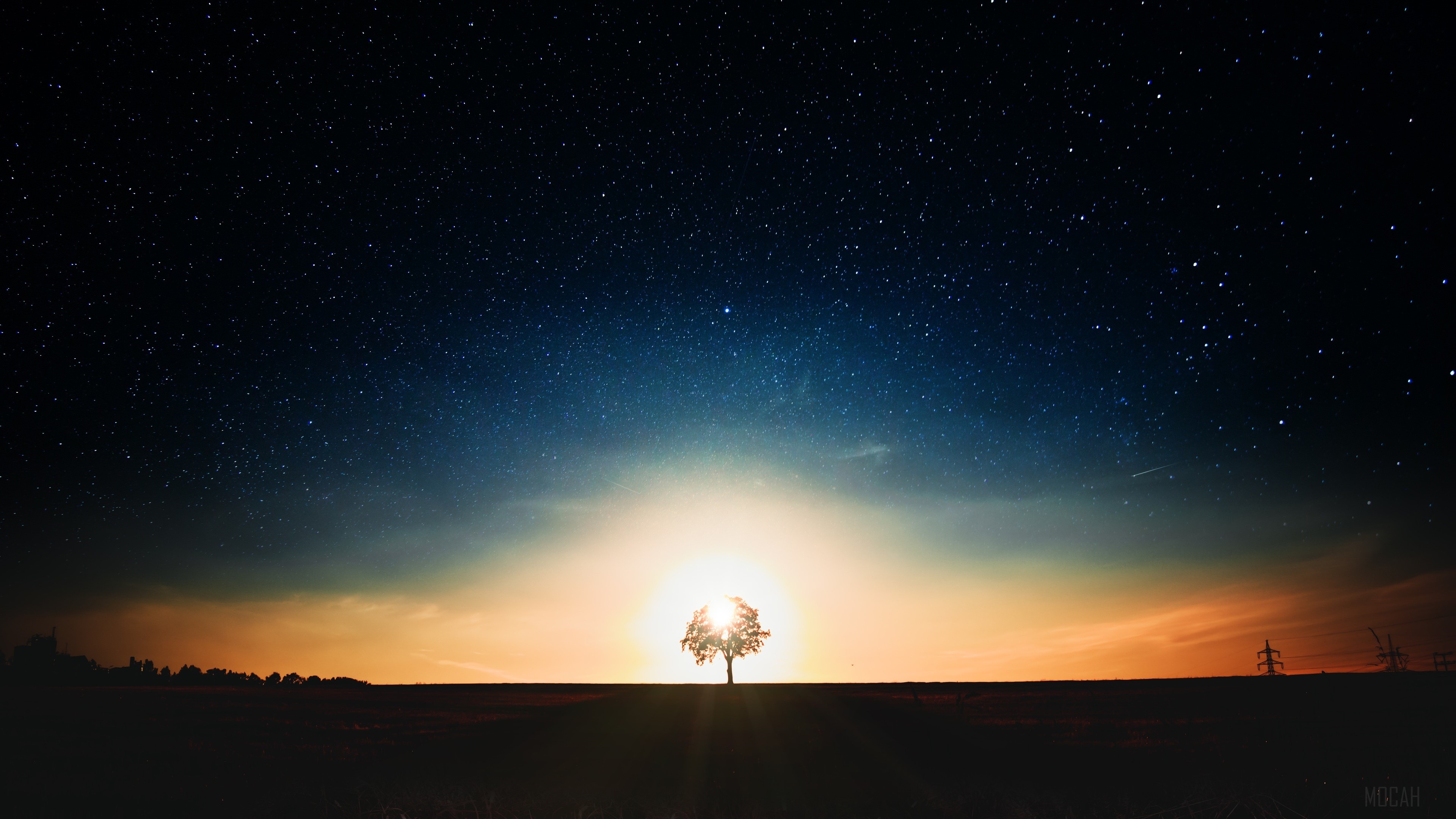 Tree silhouetted against sunset and starry sky HD Wallpaper