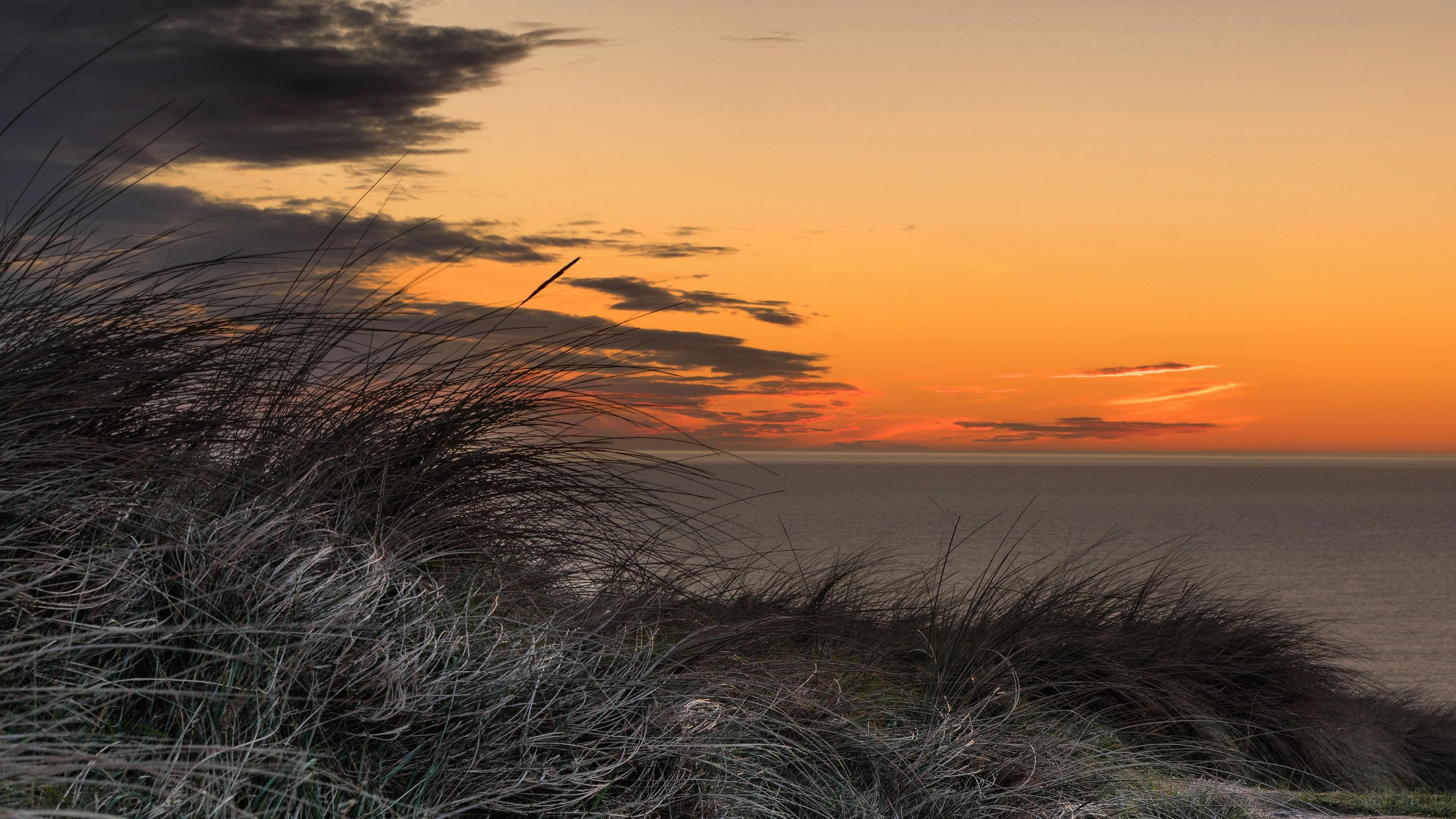Grass and Golden Sunset Over Ocean 4K HD Wallpaper